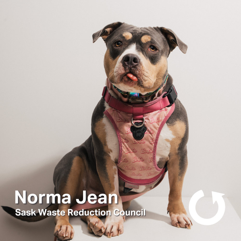 Norma.png