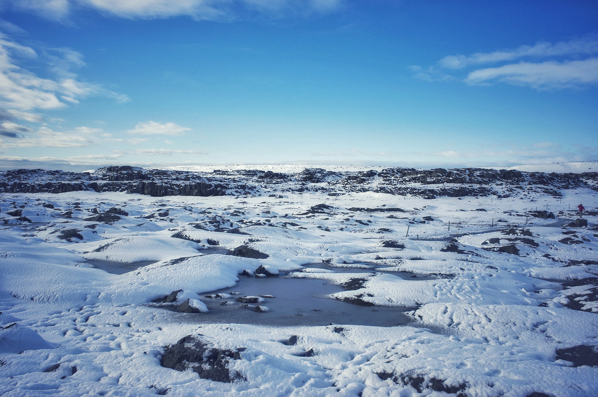 _DSC3851-01.jpeg