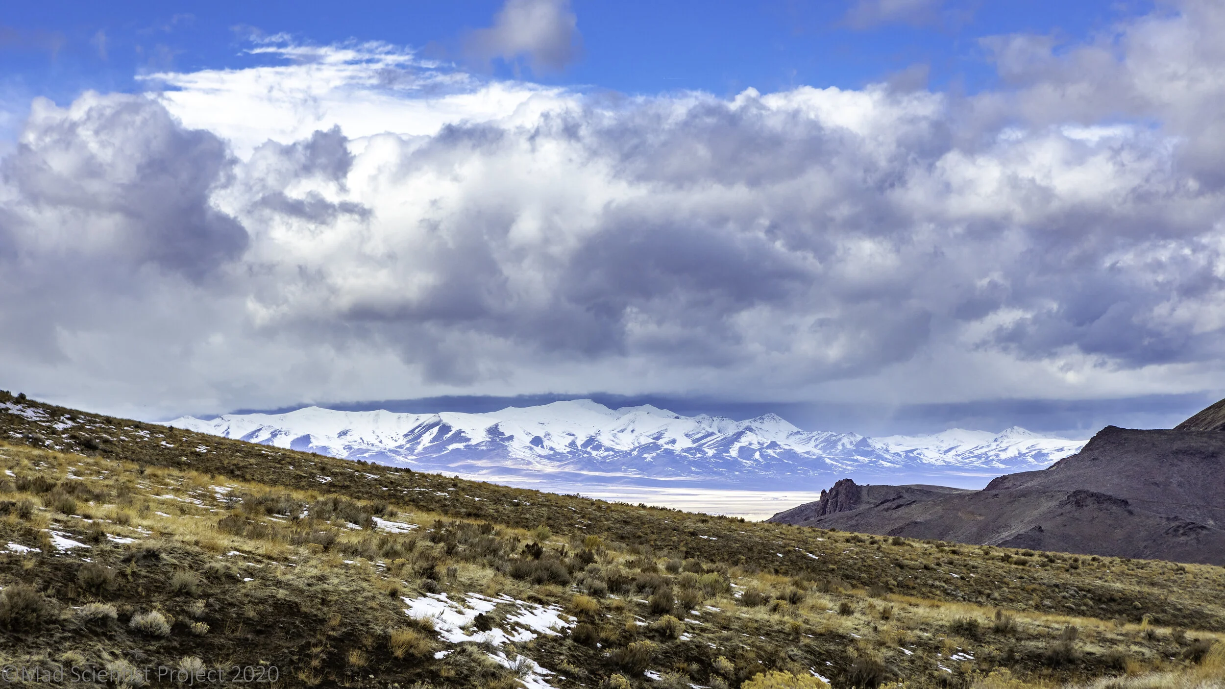 ChukarJan20 (106 of 129).jpg