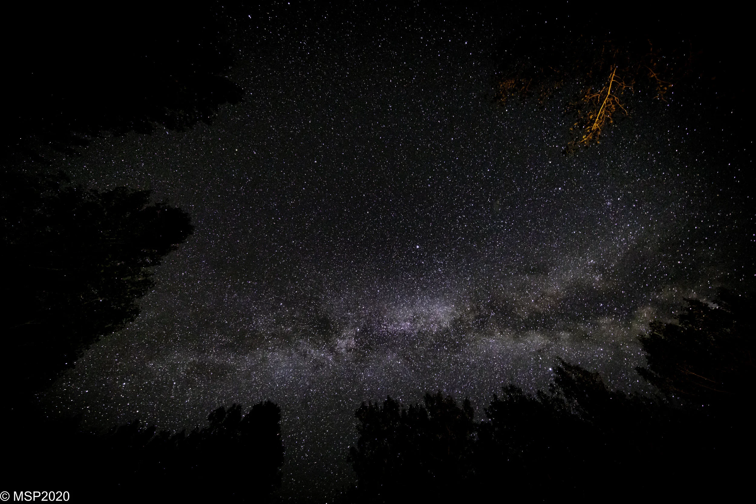 Desert Creek Milky Way