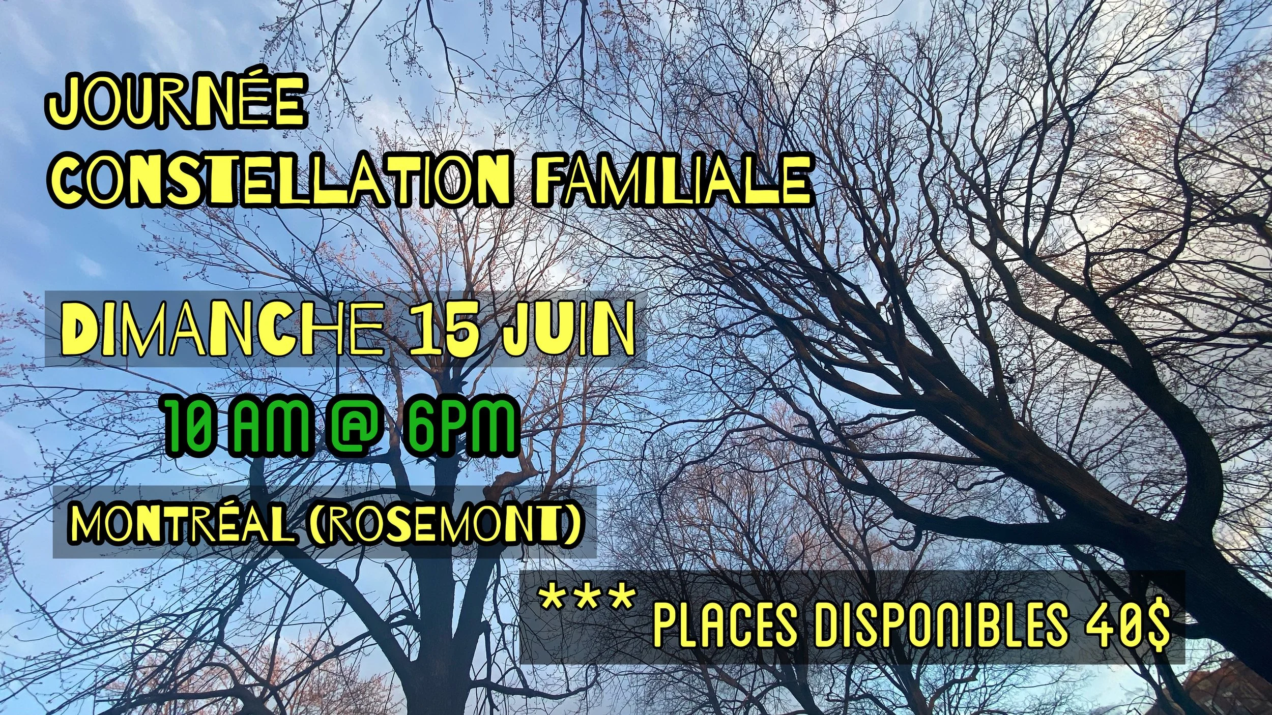 Journée d'Atelier - Constellation Familiale en groupe 