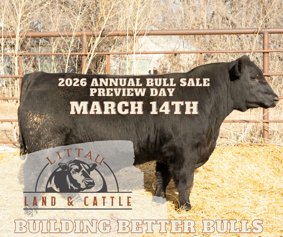 s wrangler 830 sons for sale