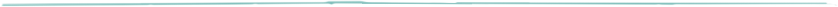 SSdivider01.png