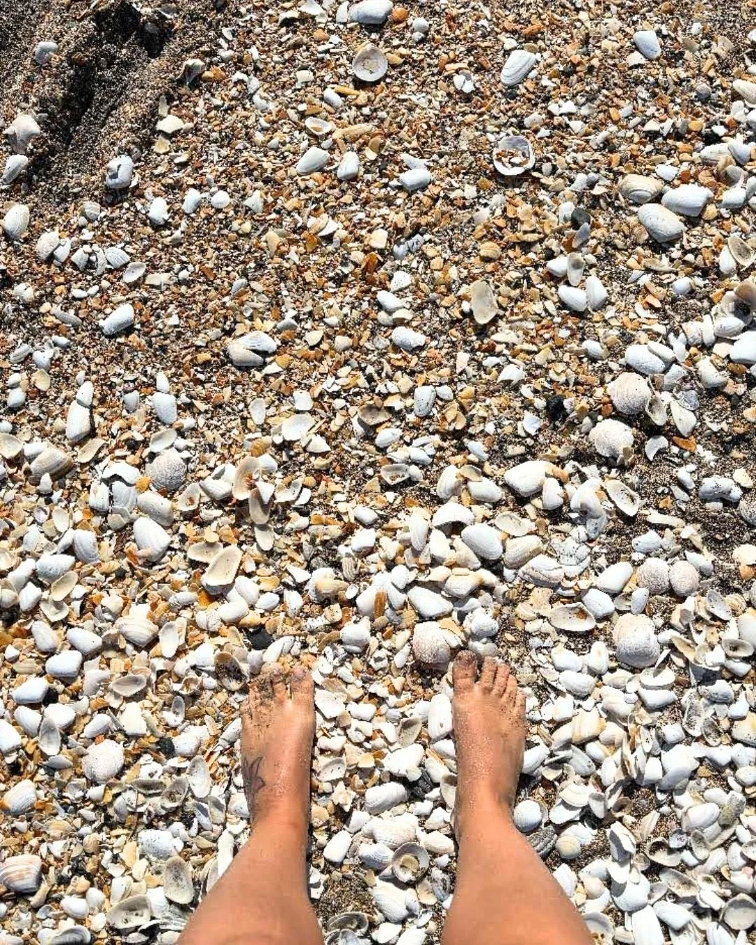 I walk the dog at the beach most days, it&rsquo;s part of my wellbeing ritual as much as it is the dogs! I love feeling the sand on my feet, it&rsquo;s grounding. 

Sometimes the swell has washed up stones on the beach, lots of little shells and that