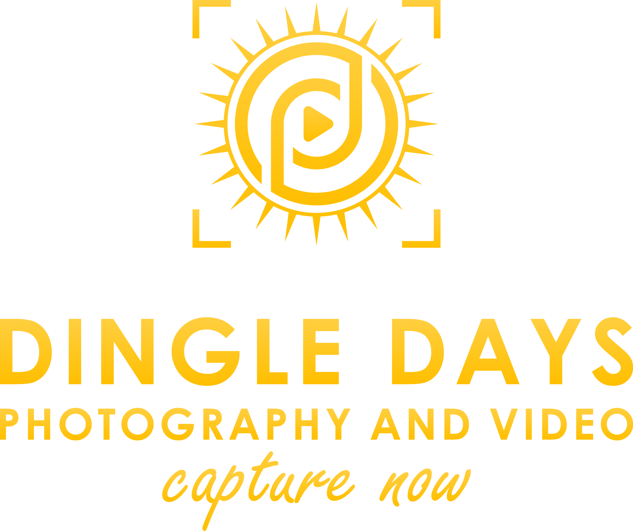 akc nosework supplies