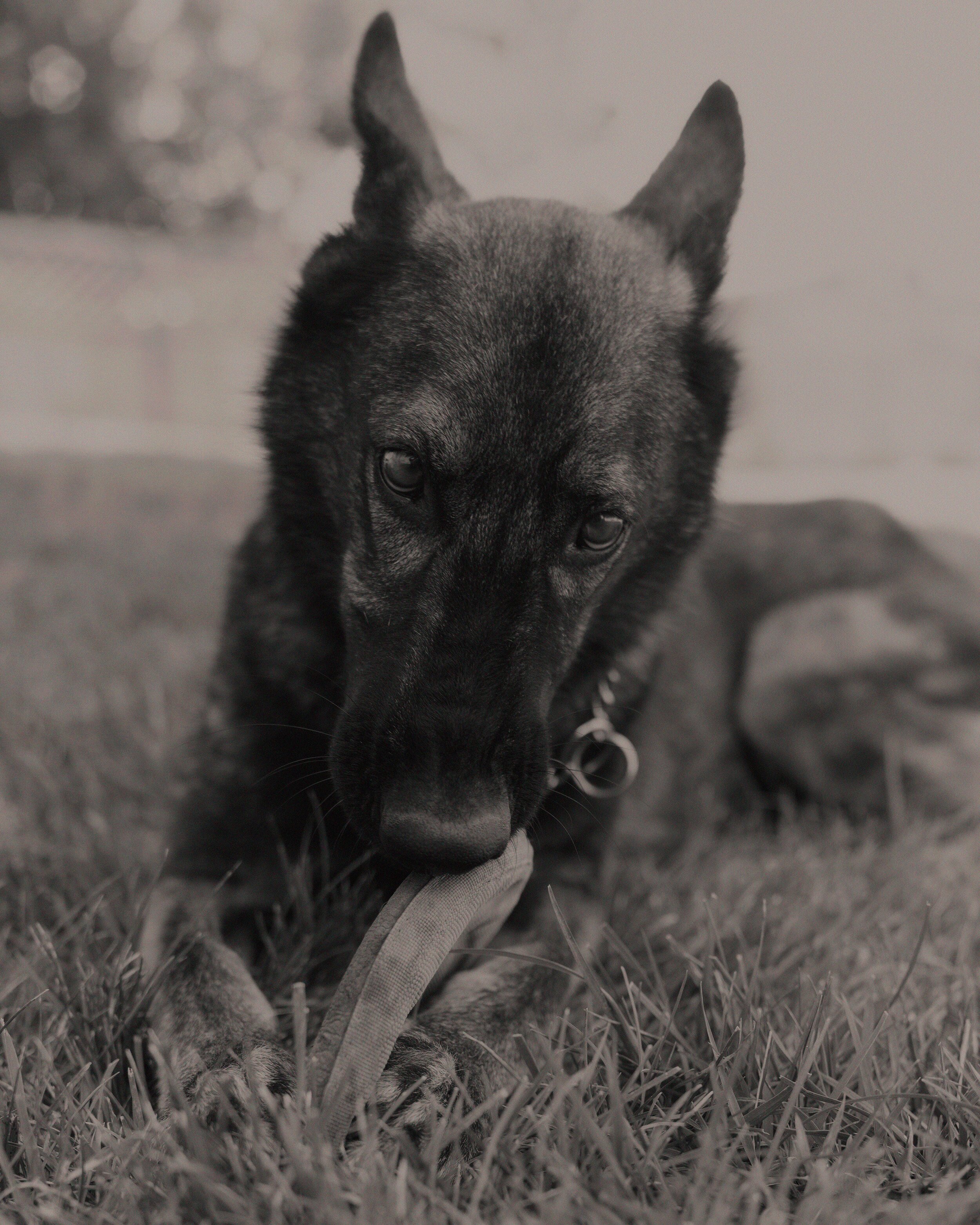 DSC01190_9MB.jpg