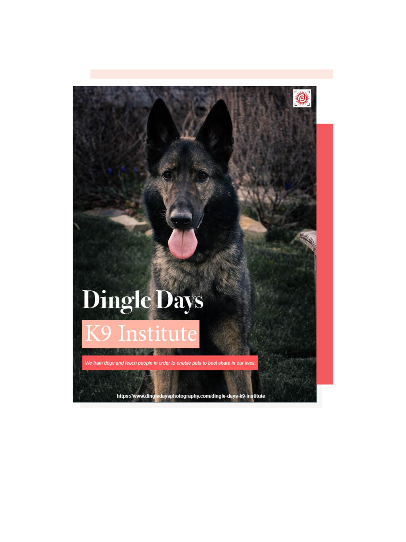 Dingle Days K9 Institute Training Guide