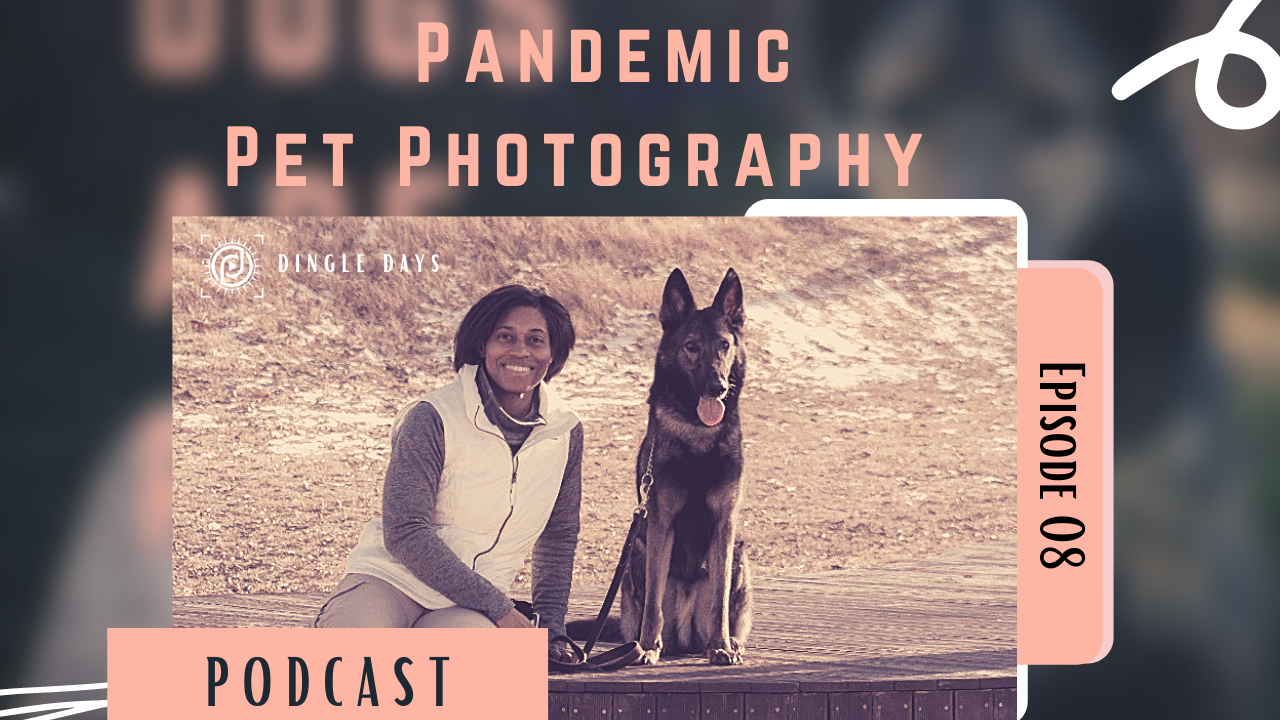 How to Be a Pet Photographer in a Post Pandemic World | #DingleDaysPodcast 008