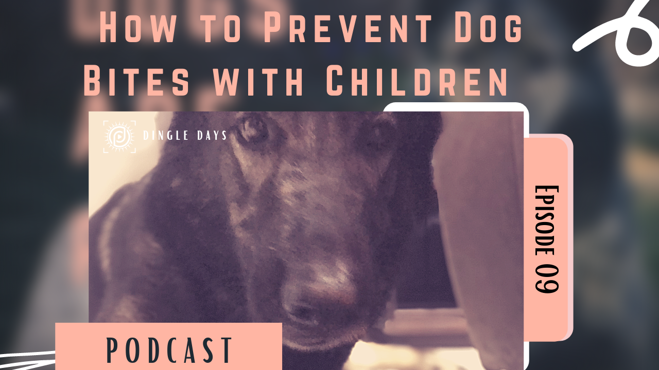 How to Prevent Dog Bites with Children | #DingleDaysPodcast 009 