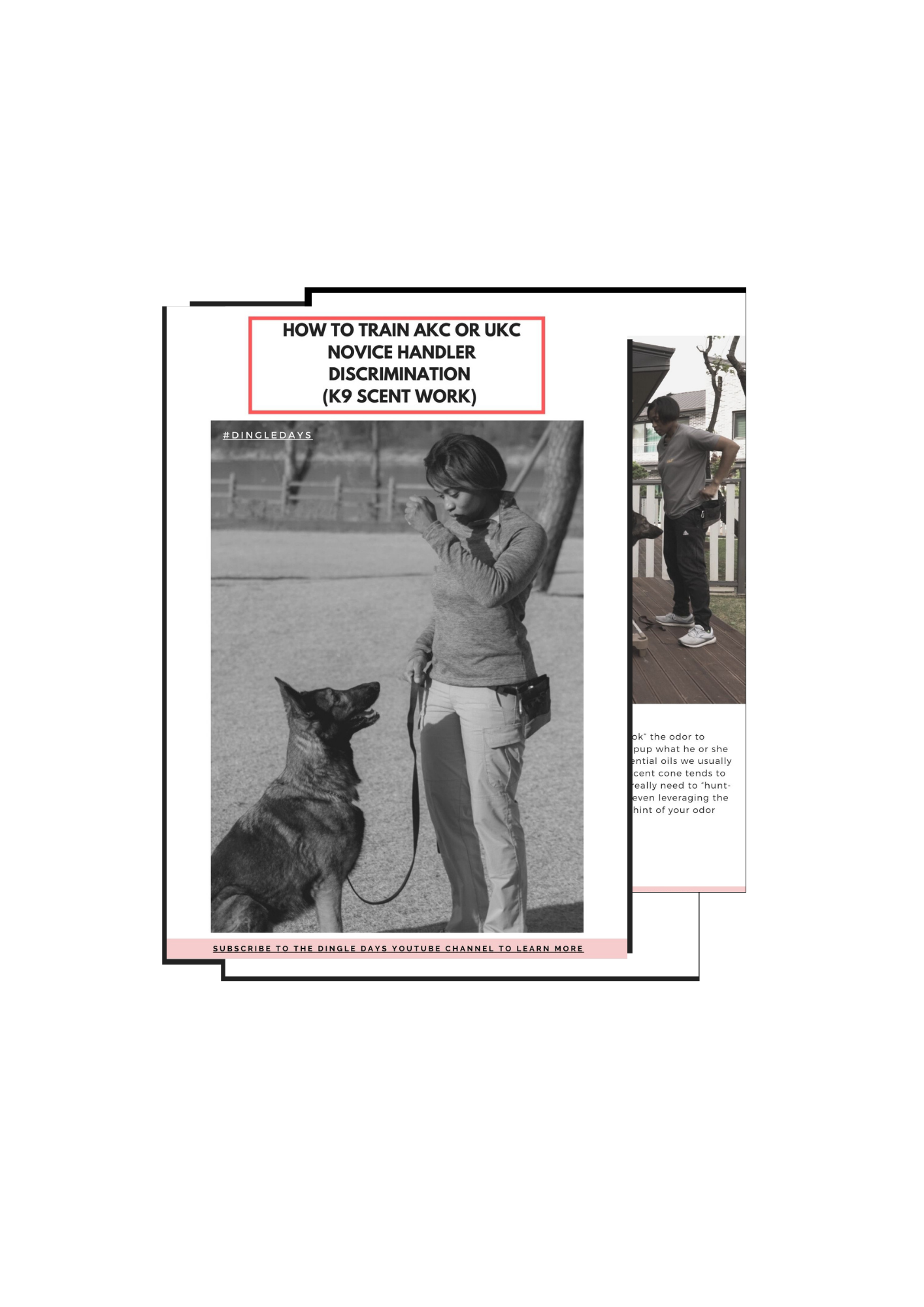 How to Train AKC or UKC Novice Handler Discrimination (K9 Scent Work