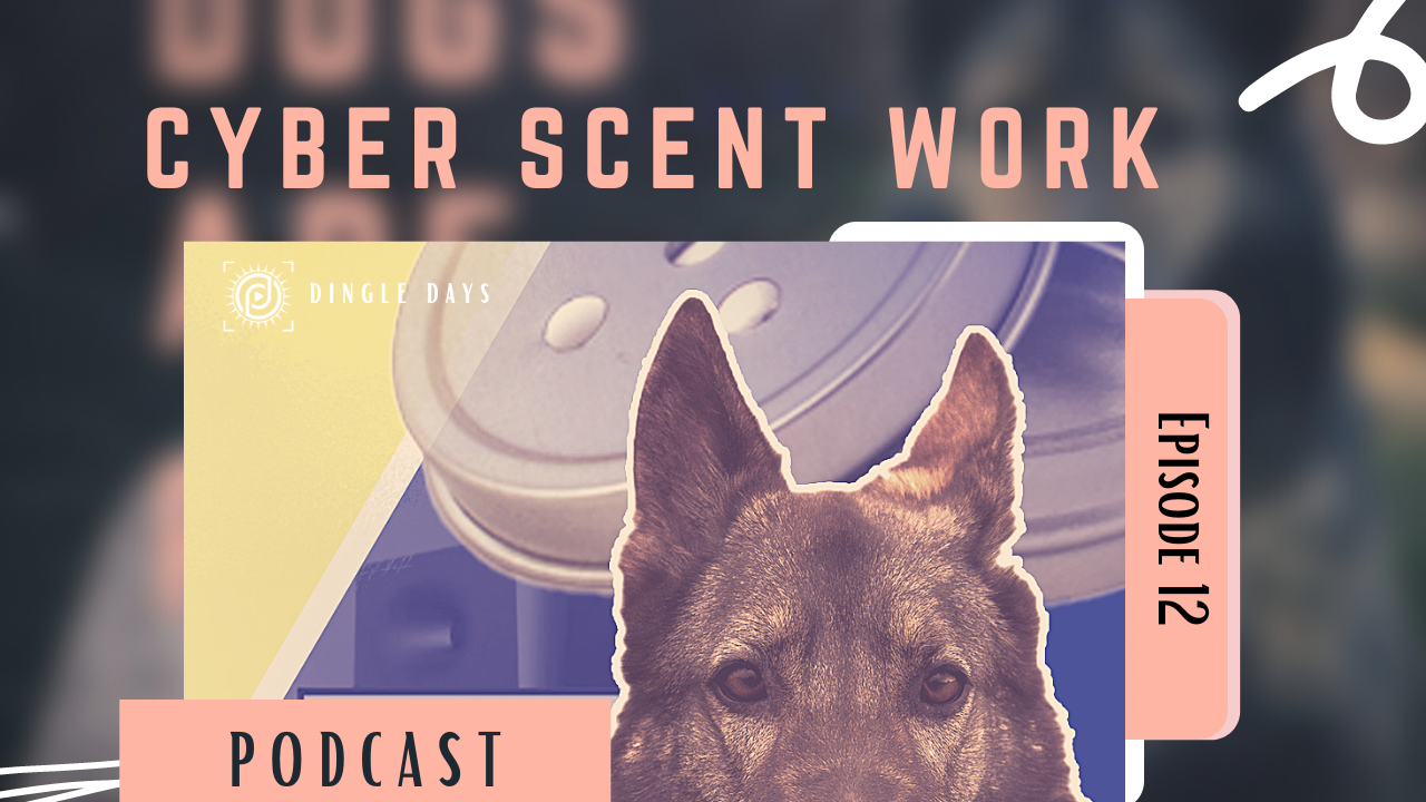 Intro to Cyber Scent Work with Dianna Santos| #DingleDaysPodcast 012