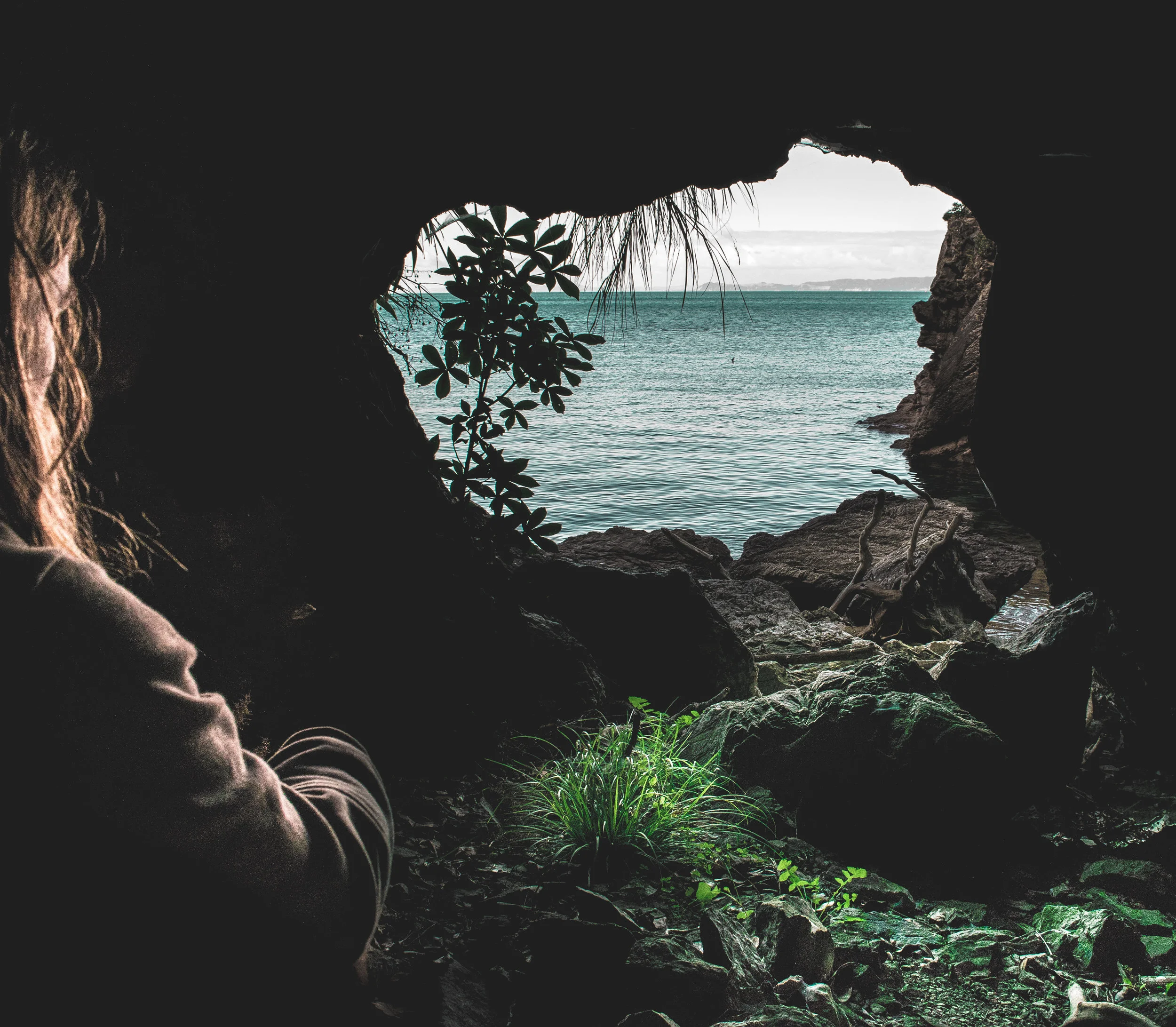 this 11.58.32 AM.jpg