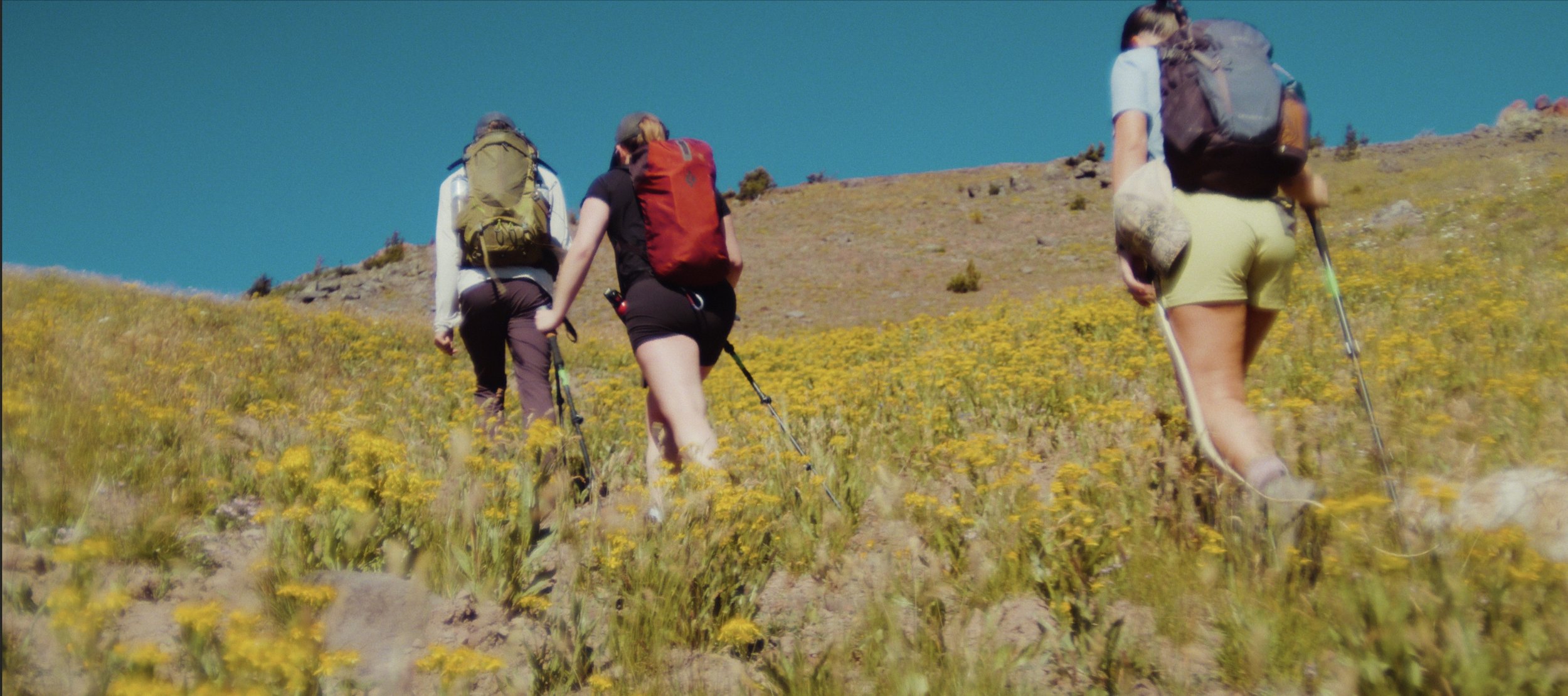 Zerco Knives | Built for the outdoor enthusiast
