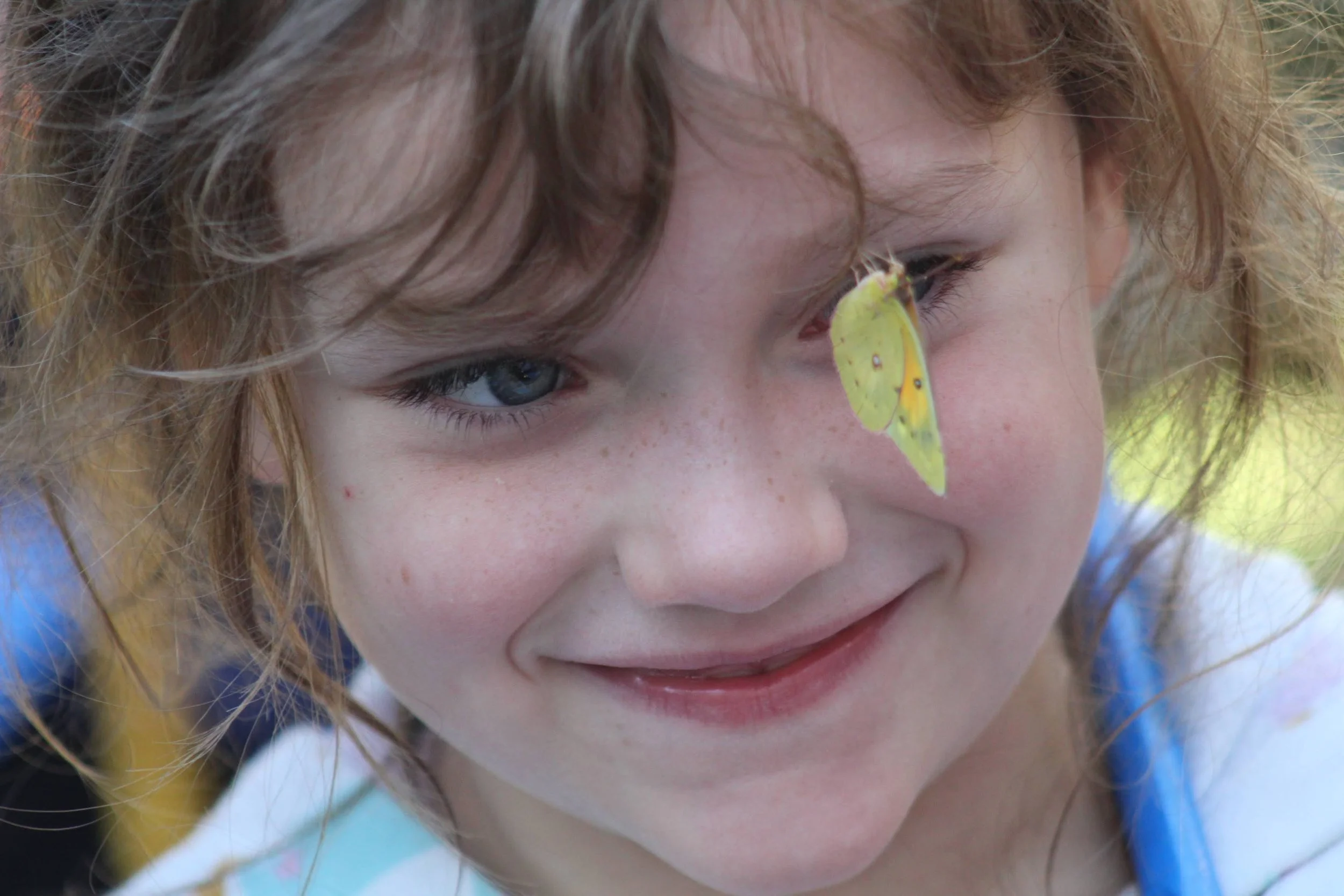 Nurturing Bird Brains: a nature walk for kids