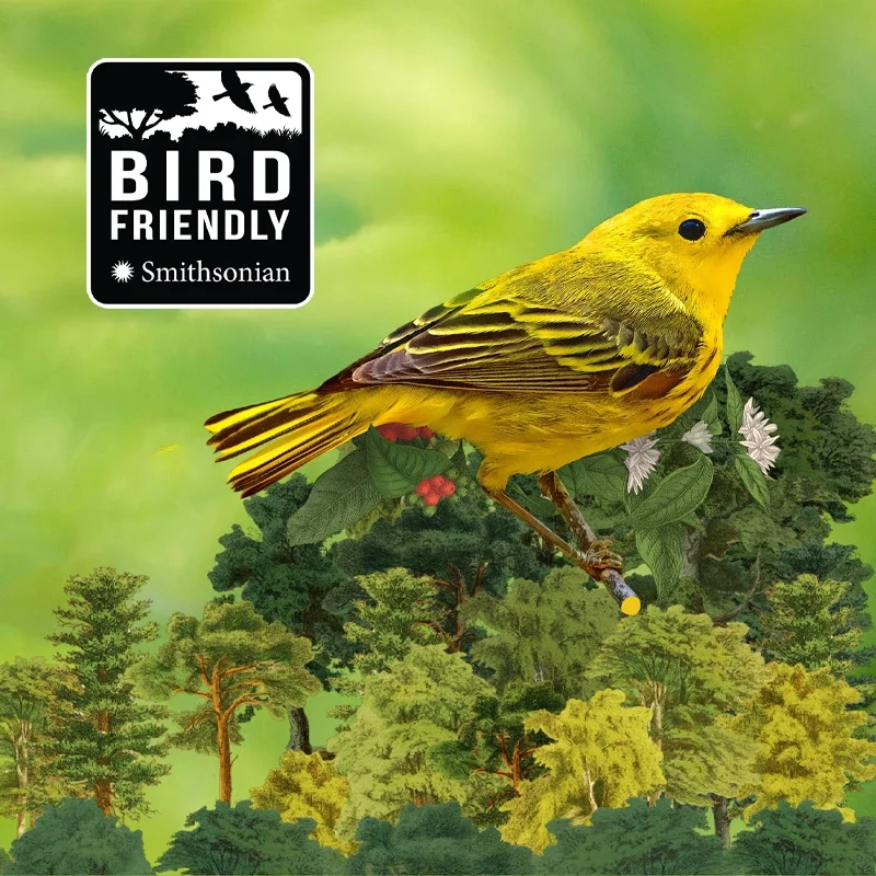 Special Event: Chocolate and Coffee Tasting - for the Birds!