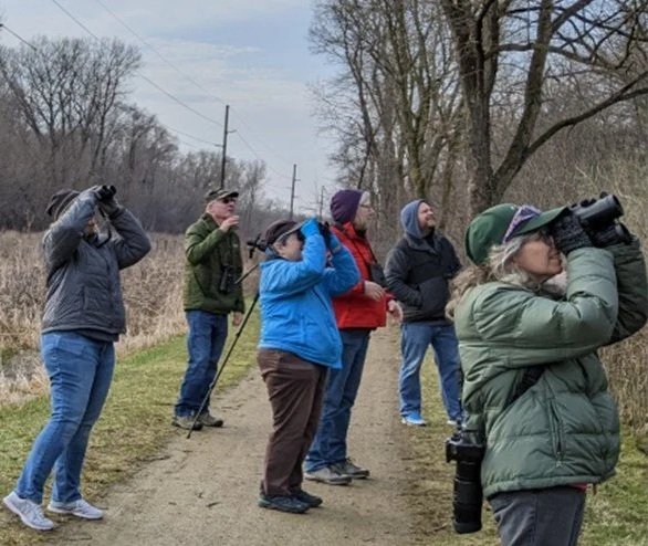 Heckrodt Wetland Reserve - Wednesday Evening Birding #2