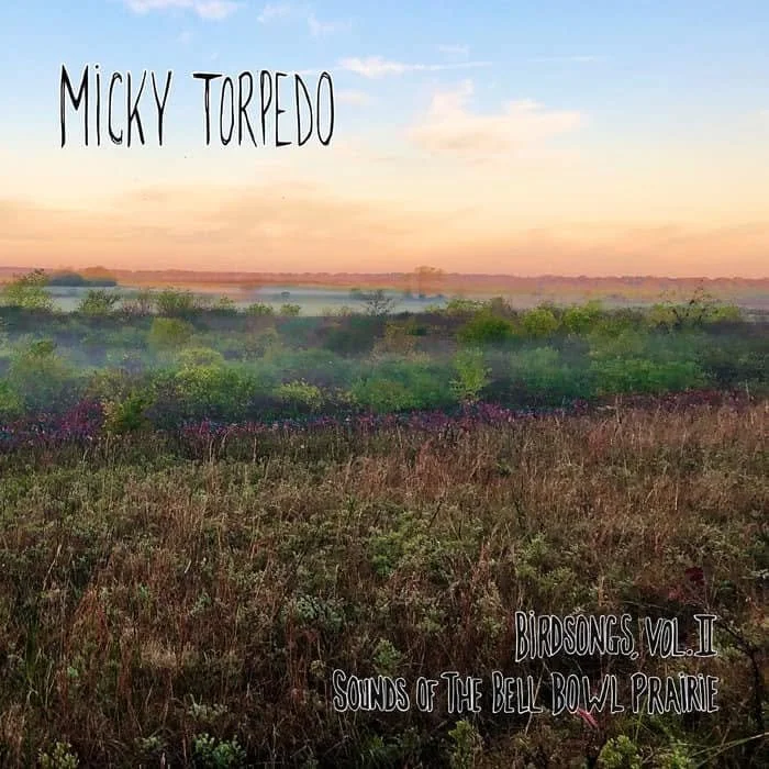 Music Inspired by Bird Songs: A Sinnissippi Audubon Project in Collaboration with Micky Torpedo