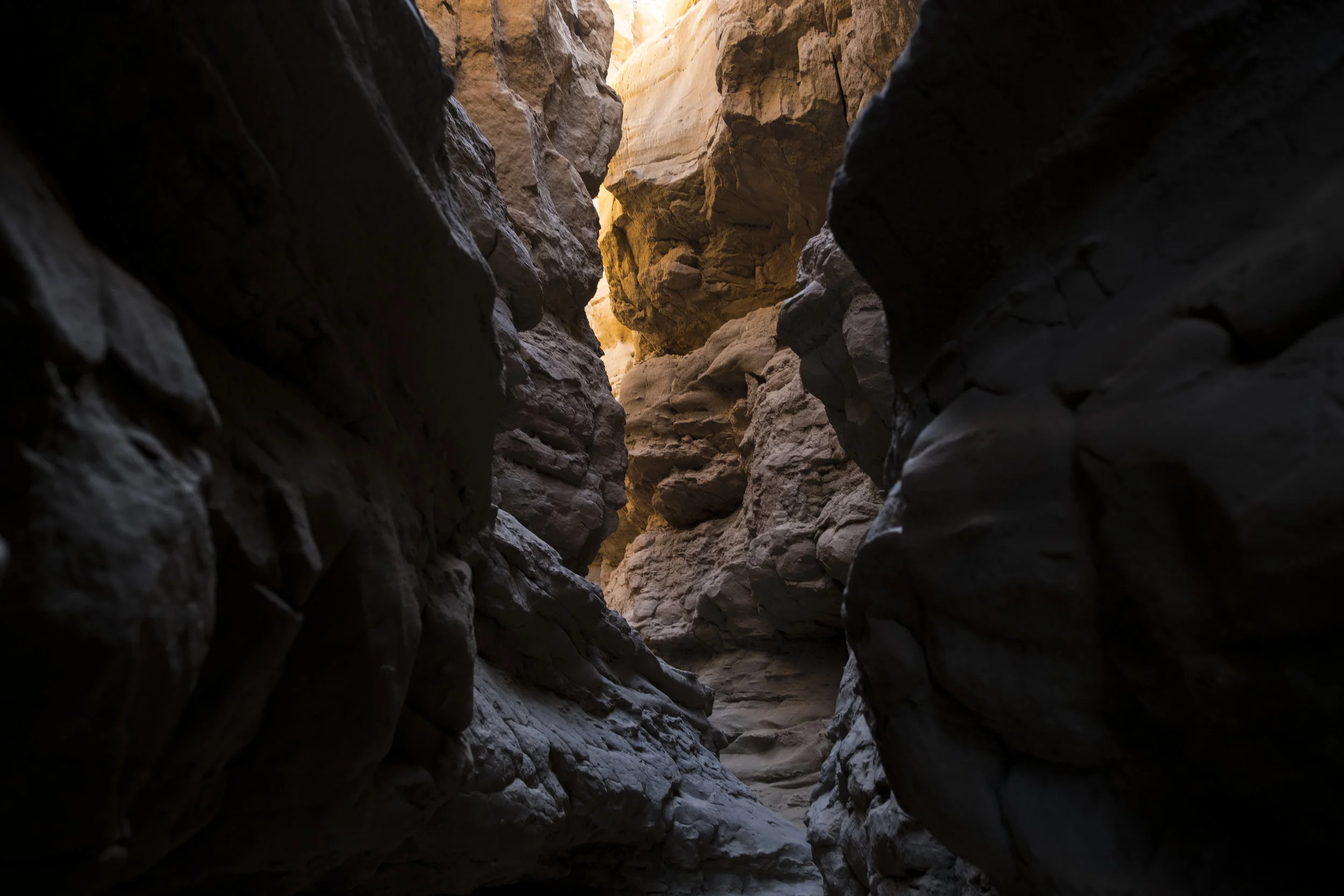 anzaborrego-4.jpg