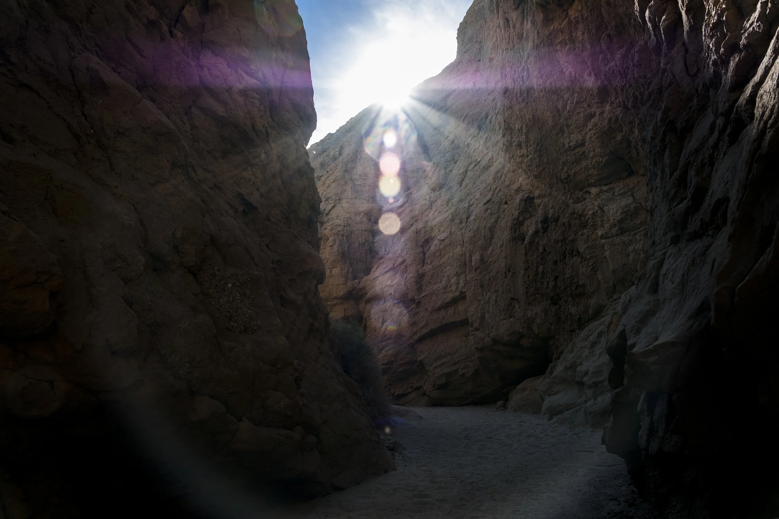 anzaborrego-5.jpg