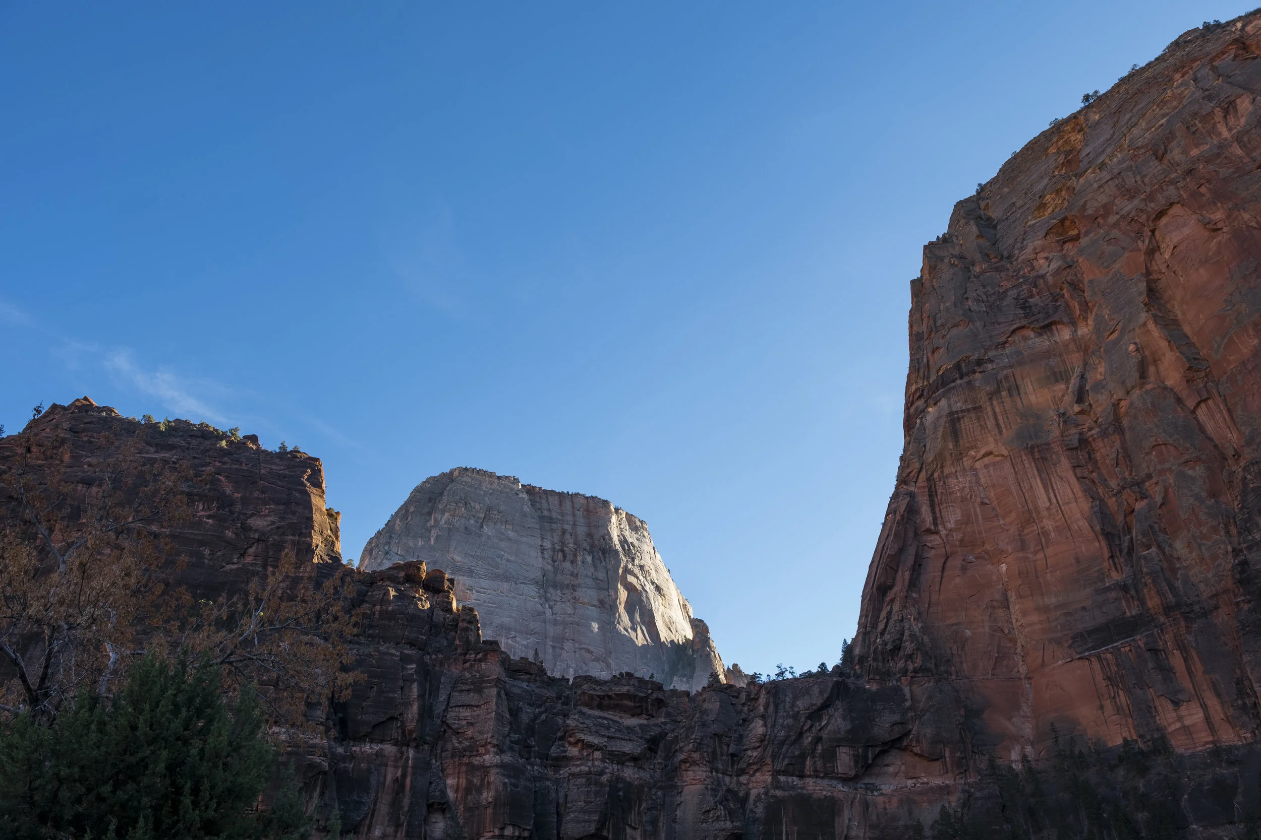 zion-1.jpg