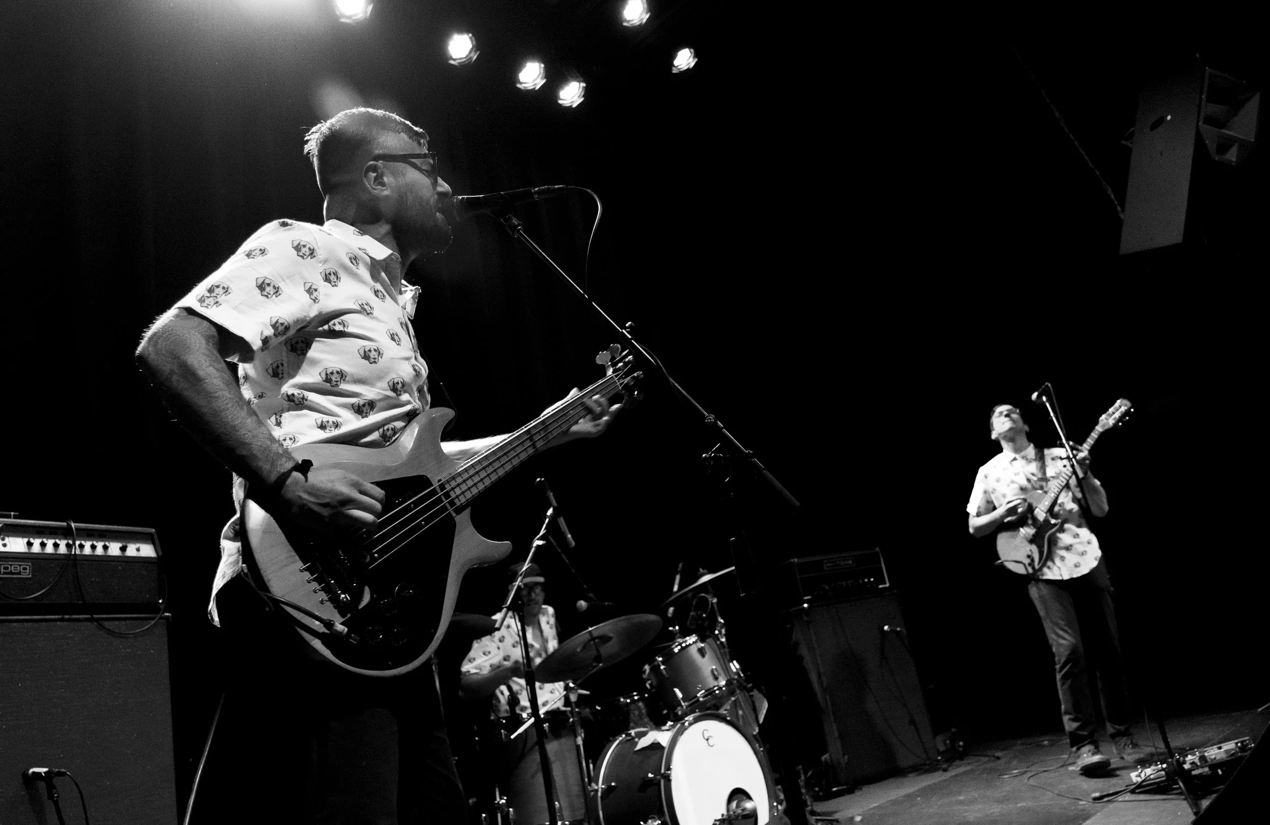 petsymmetry-12bw.jpg
