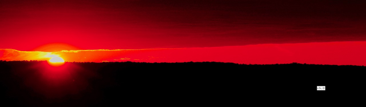 Copyright Victor Frank Vere