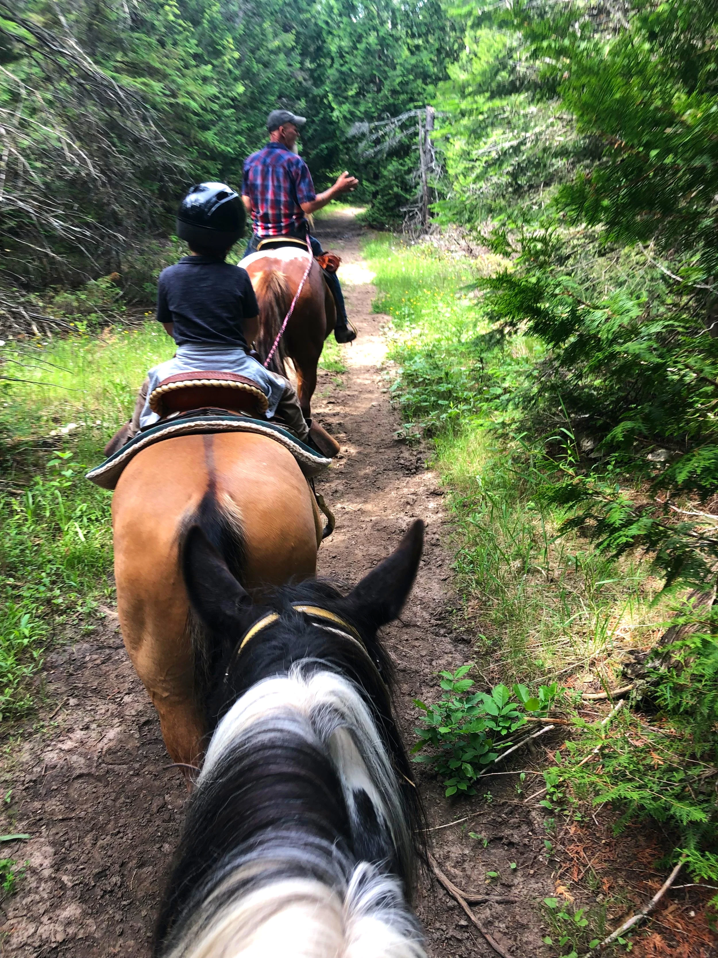 Horseback riding at the Kicking Mule Riding Stable