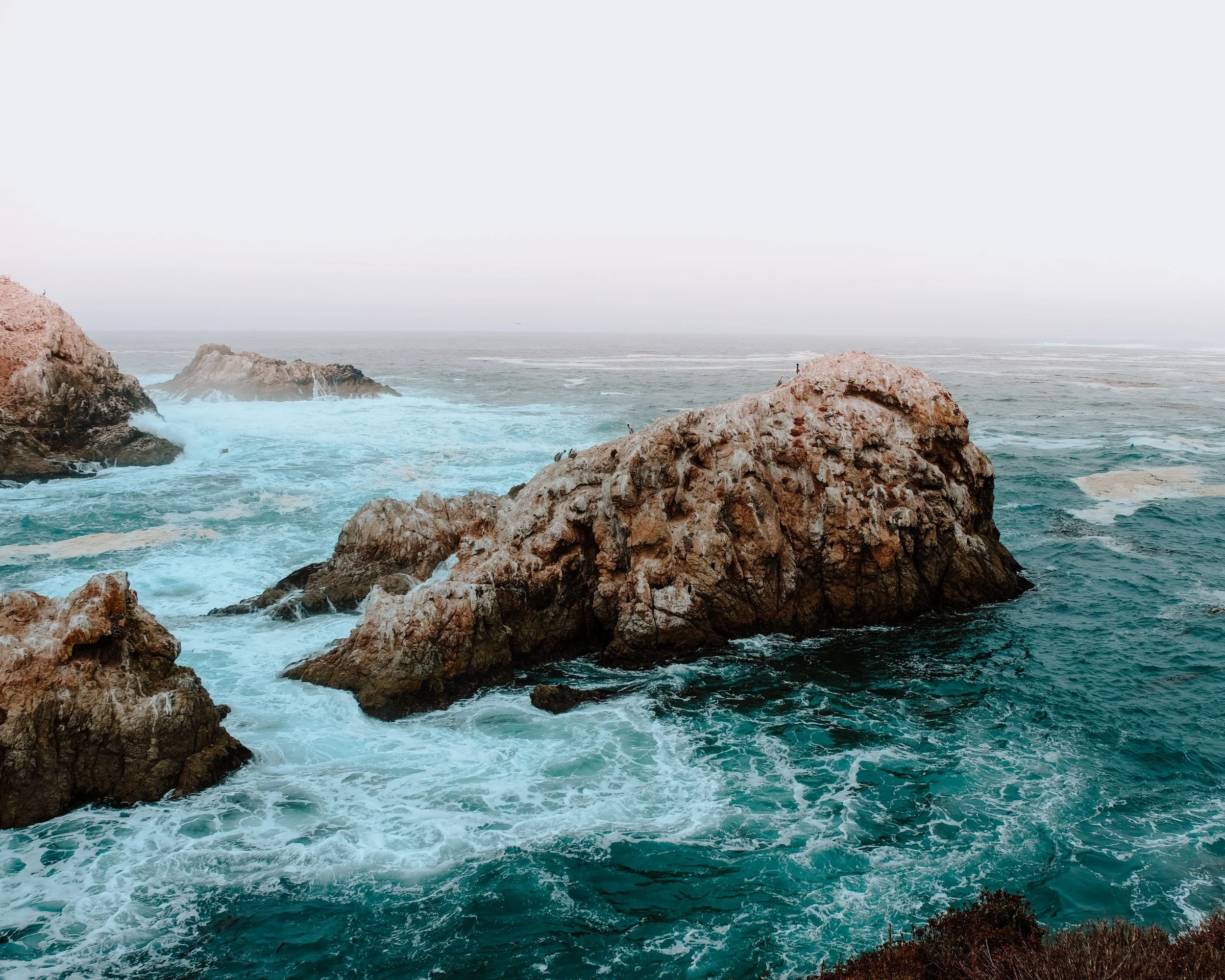 simon-shim-531887-unsplash.jpg