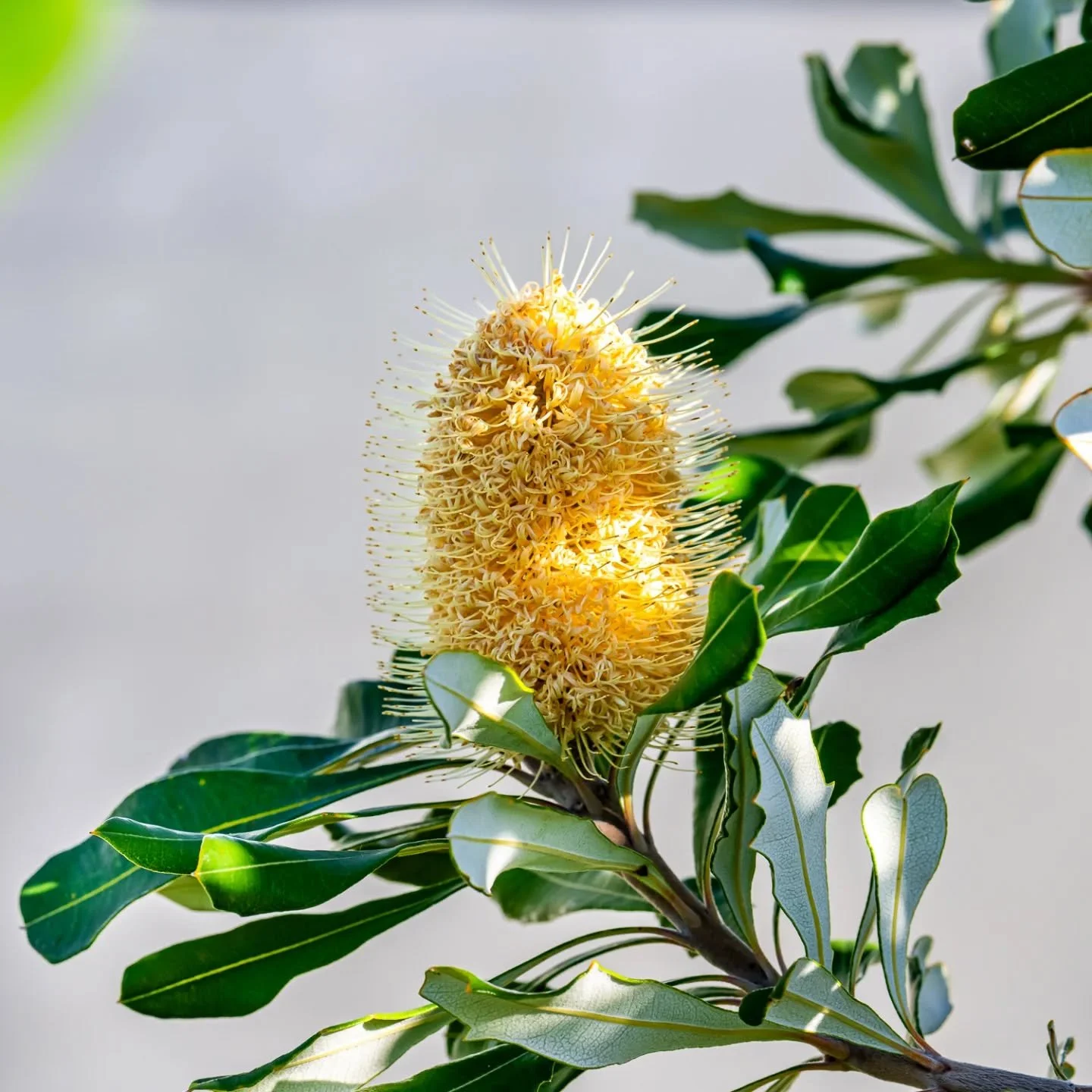 &quot;You are not a machine, you are more like a garden. You need different things on different days, a little sun today, a little less water tomorrow. You have fallow and fruitful seasons. It is not a design flaw, it is wiser than perpetual sameness