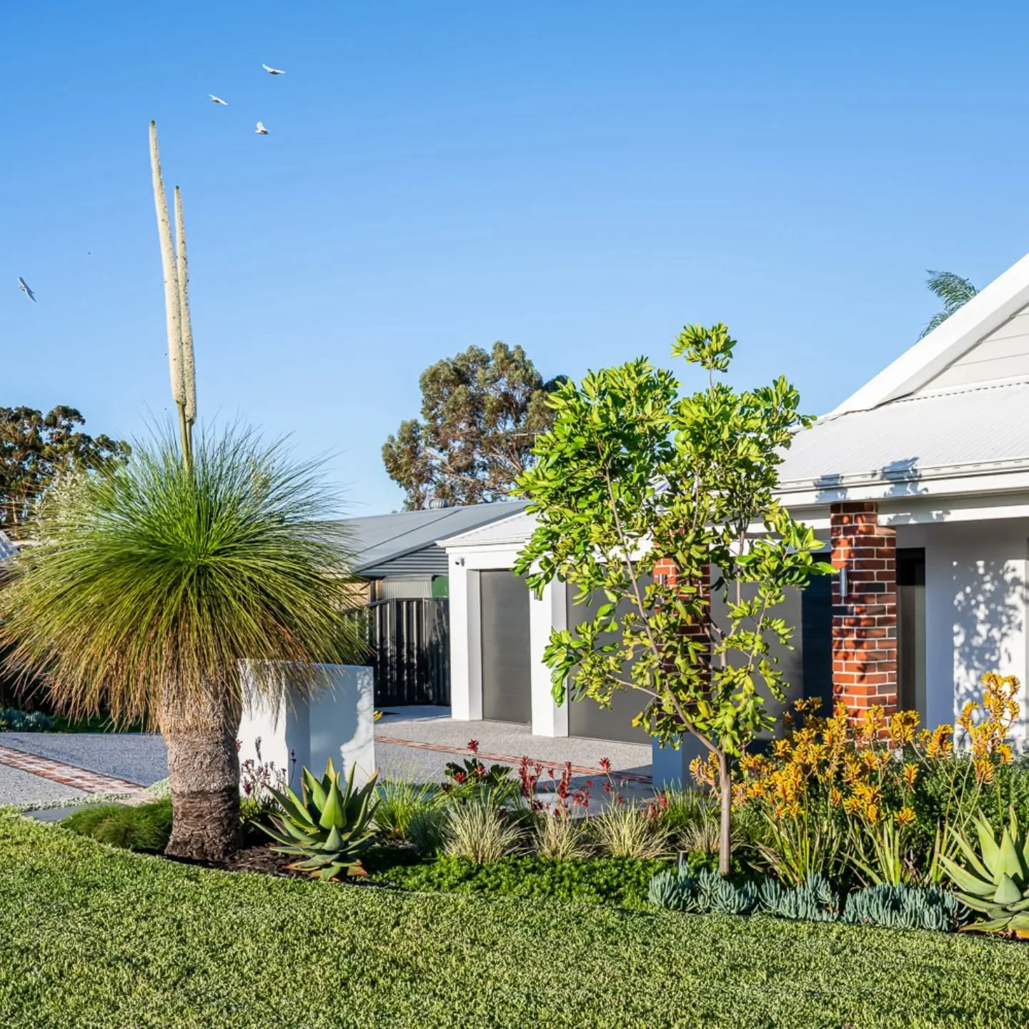 2024, where have you gone! 

It's been a busy second half of the year, and I've enjoyed revisiting some of our completed projects.🌱 

Our Greenwood garden is definitely starting&nbsp;to look the part. The plants are growing nicely, and the native fr