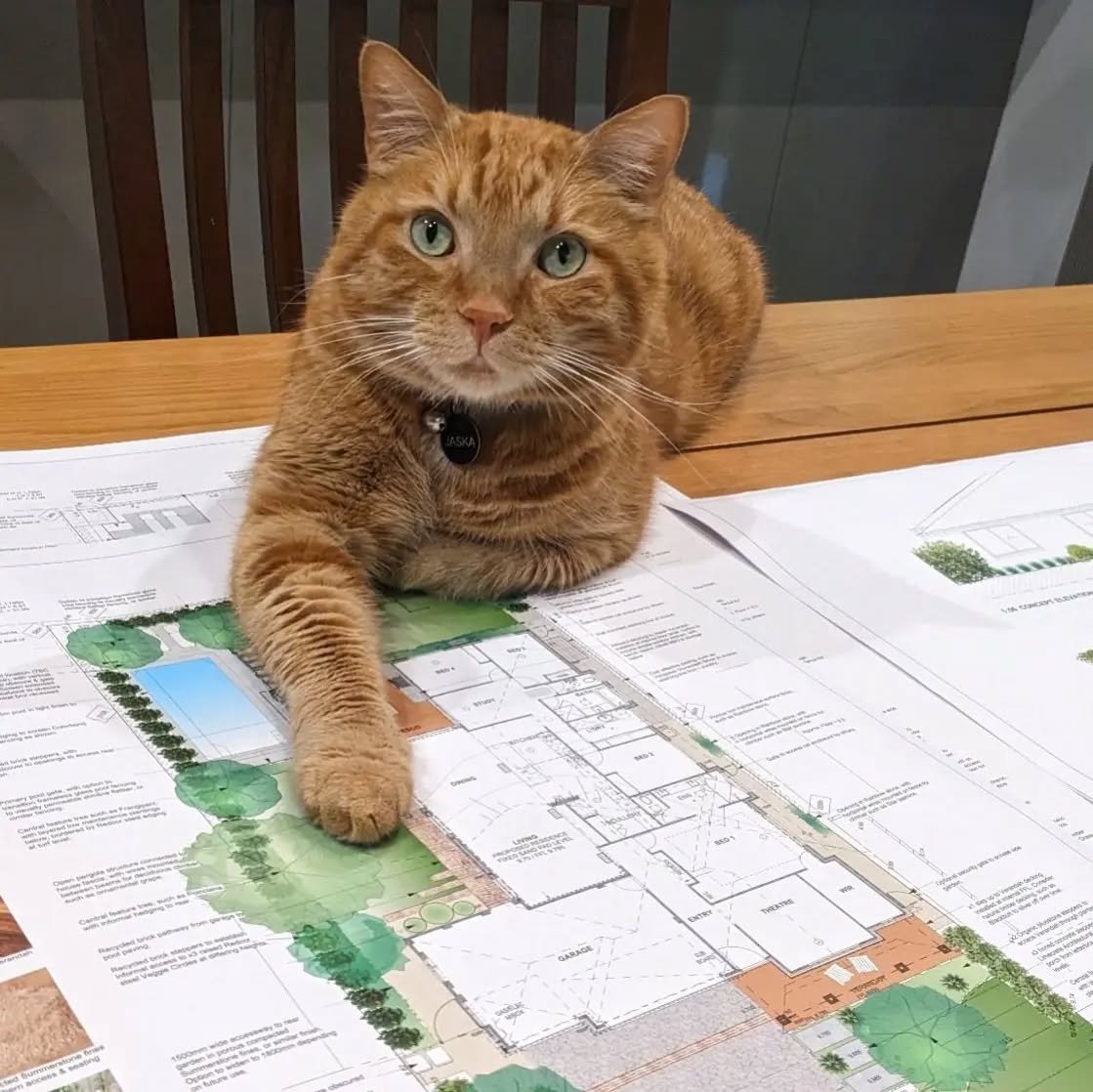 Design critique. ✏️

I think it's safe to say that Jaska the cat approves of his new garden and it looks like he may have picked out his favourite spot already! 🐈 

Presenting your landscape concept plan is always an exciting stage of the process, e