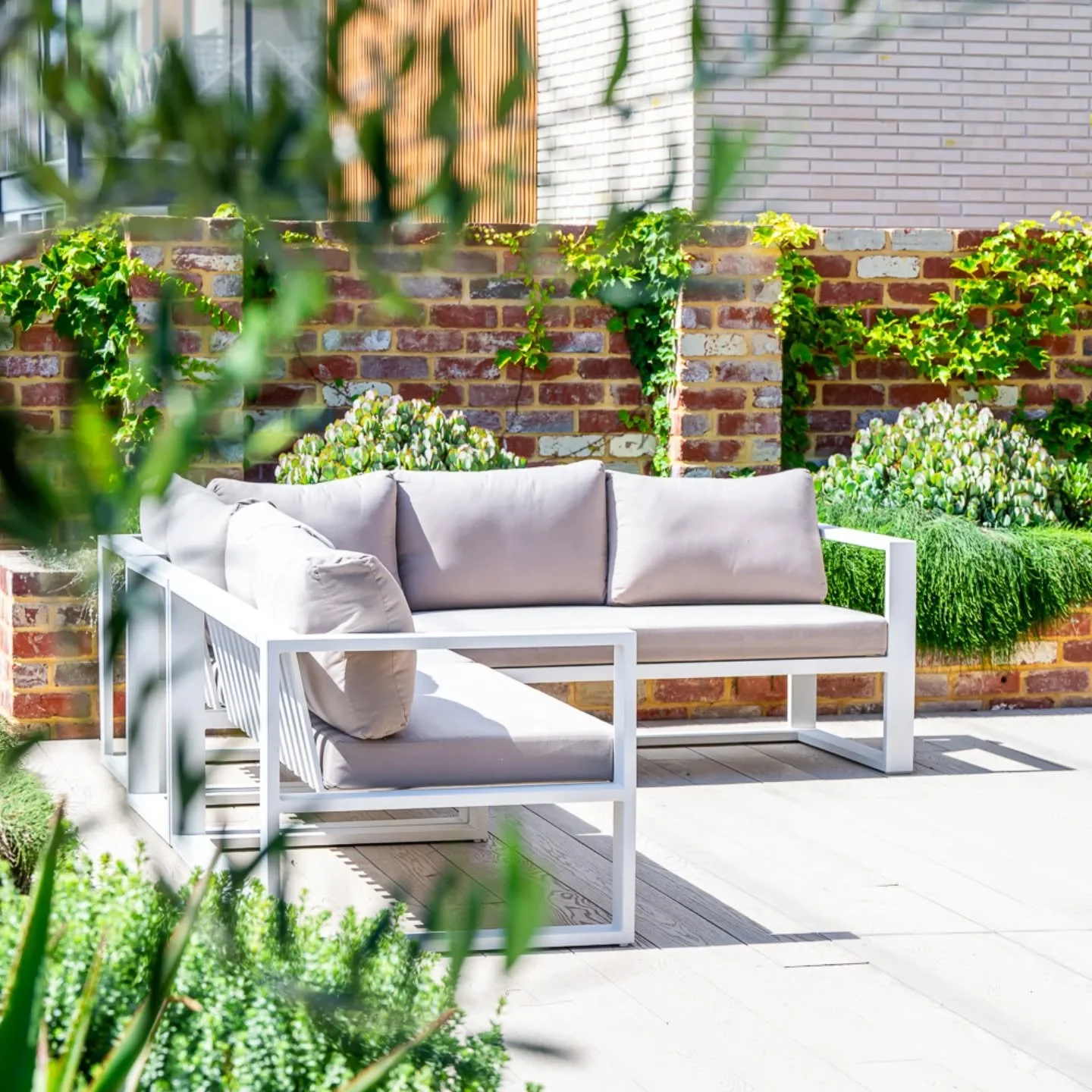 Happy New Year! 🎆

As you enjoyed your well-deserved break, perhaps you found yourself daydreaming about the garden you'd love to come home to.🌿

Maybe you have an underutilized space that needs some care, or you&rsquo;re envisioning hosting next C