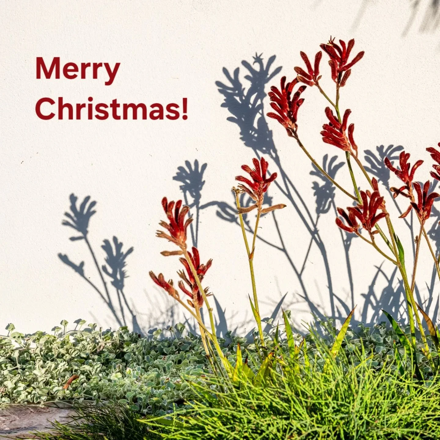 Merry Christmas! 🎄 

And just like that, it&rsquo;s that time of year again. I once heard that the years seem to fly by faster as you get older and it&rsquo;s definitely true! 

A big thank you to my wonderful clients, colleagues and installers for 