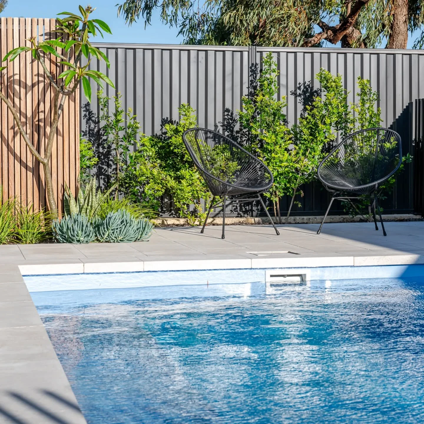 Summer! ☀️

After an unseasonably cool start, pool time has well and truly arrived!

With our first 40⁰ day upon us, don&rsquo;t forget to give your plants an extra drink tonight and leave out some water for any visiting wildlife.

🛠 @greaterscapesw