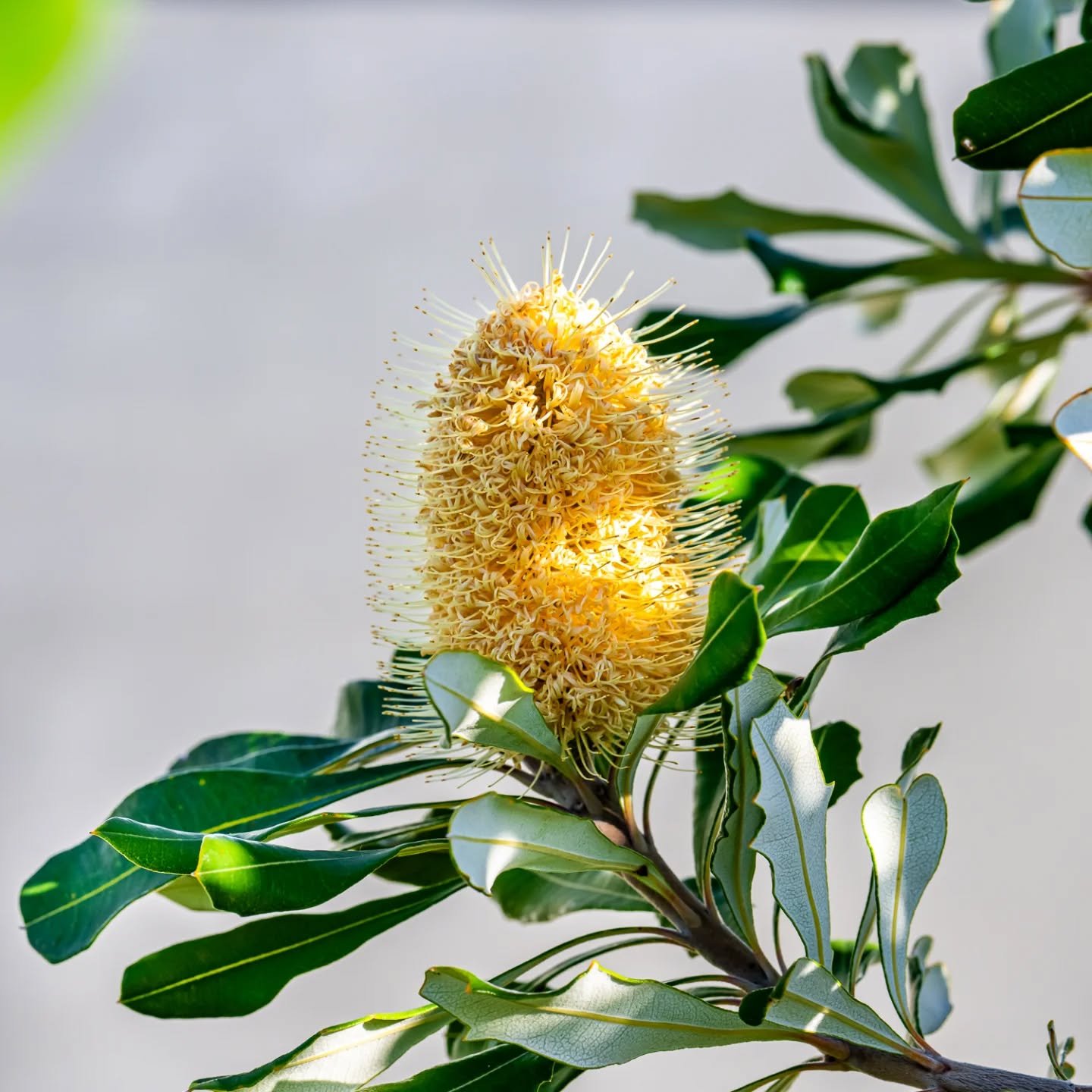 "You are not a machine, you are more like a garden. You need different things on different days, a little sun today, a little less water tomorrow. You have fallow and fruitful seasons. It is not a design flaw, it is wiser than perpetual sameness