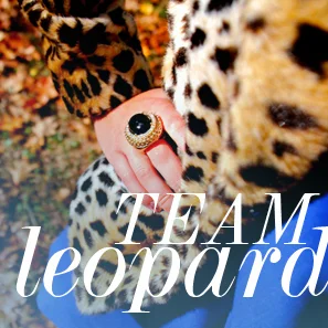 COMPLIMENTARY COLORS