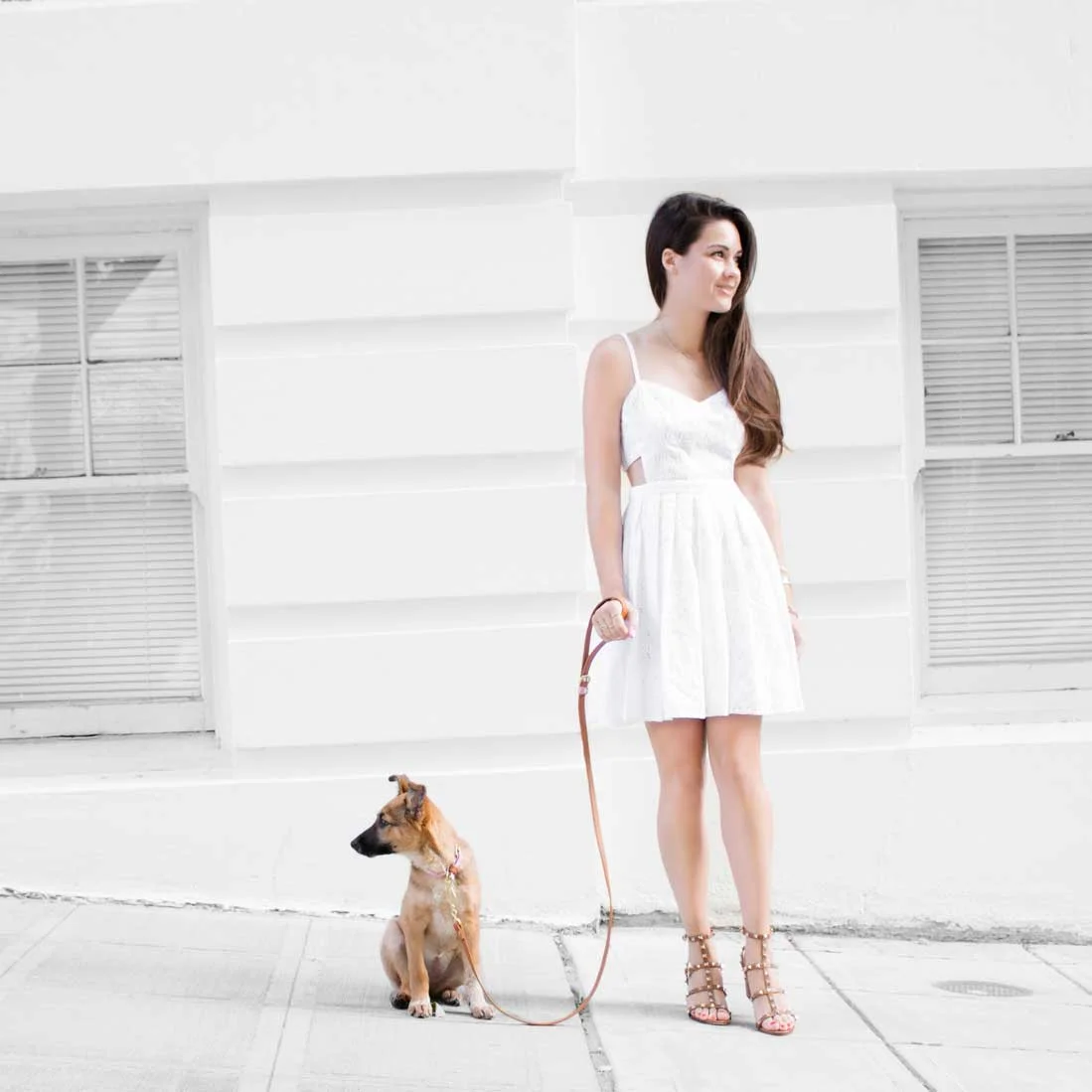 Bringing Home a New Puppy