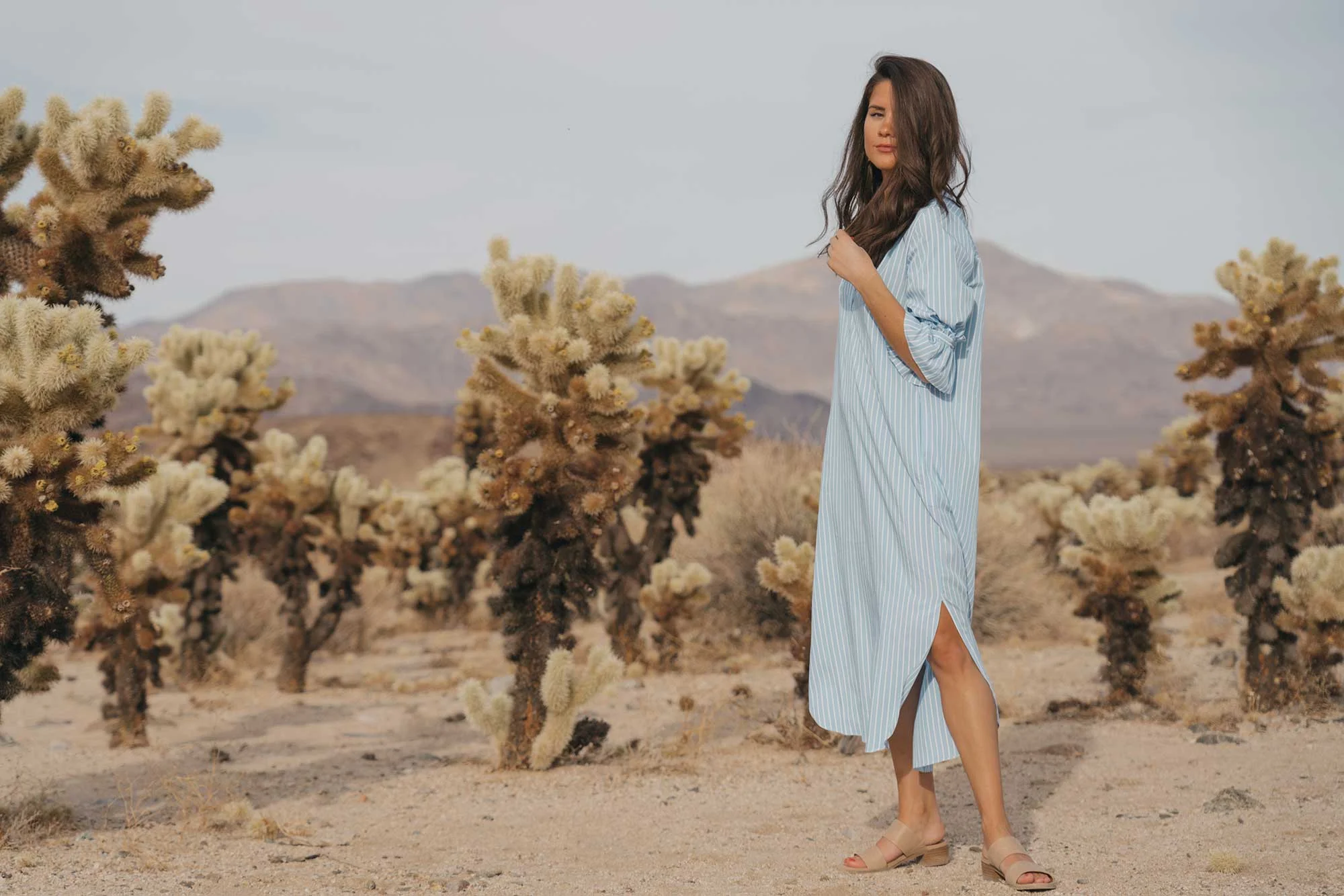 Frill Sleeve Maxi Shirt Dress Festival Outfit Coachella Joshua Tree Cholla Cactus Garden1.jpg