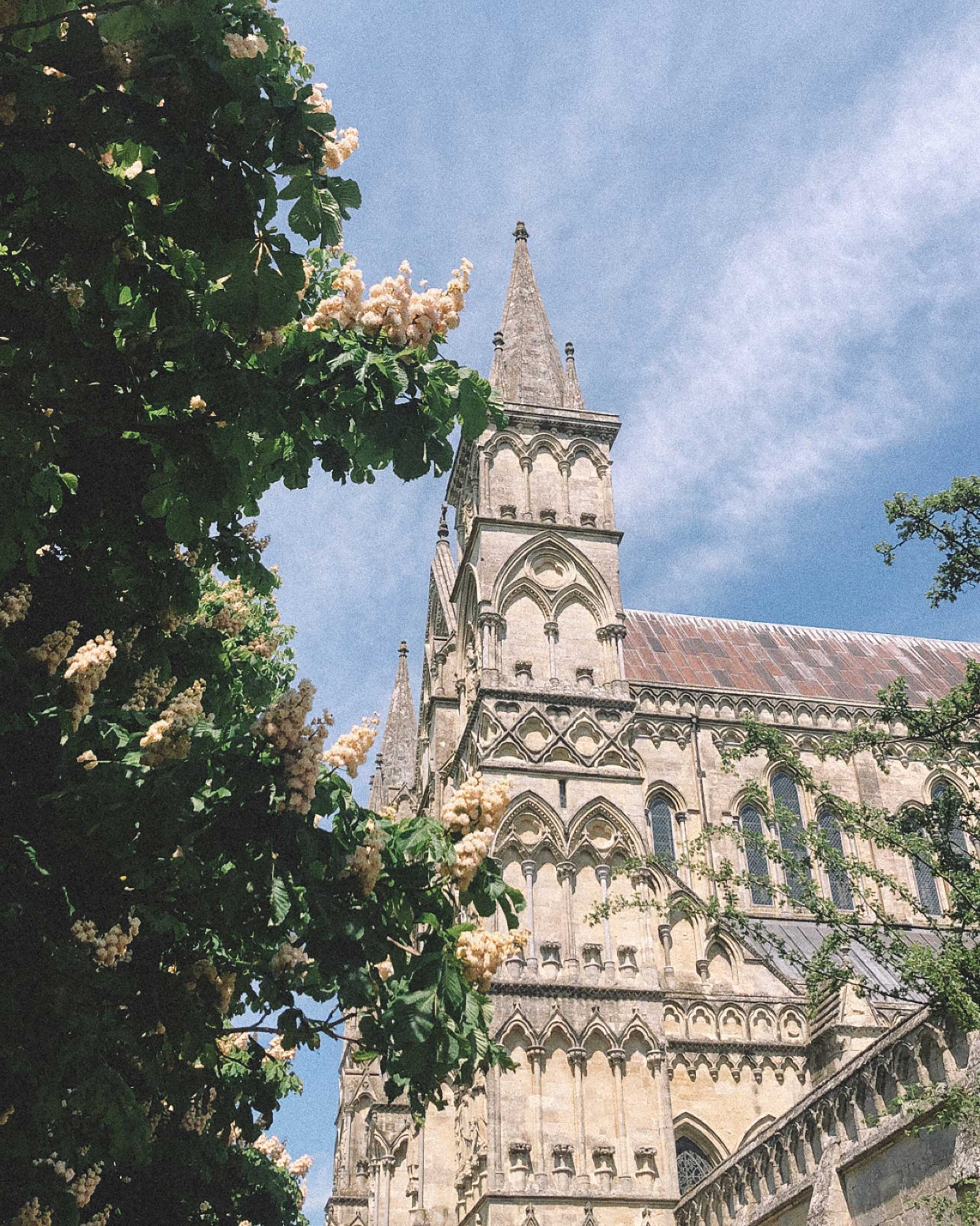 english countryside during spring1.jpg