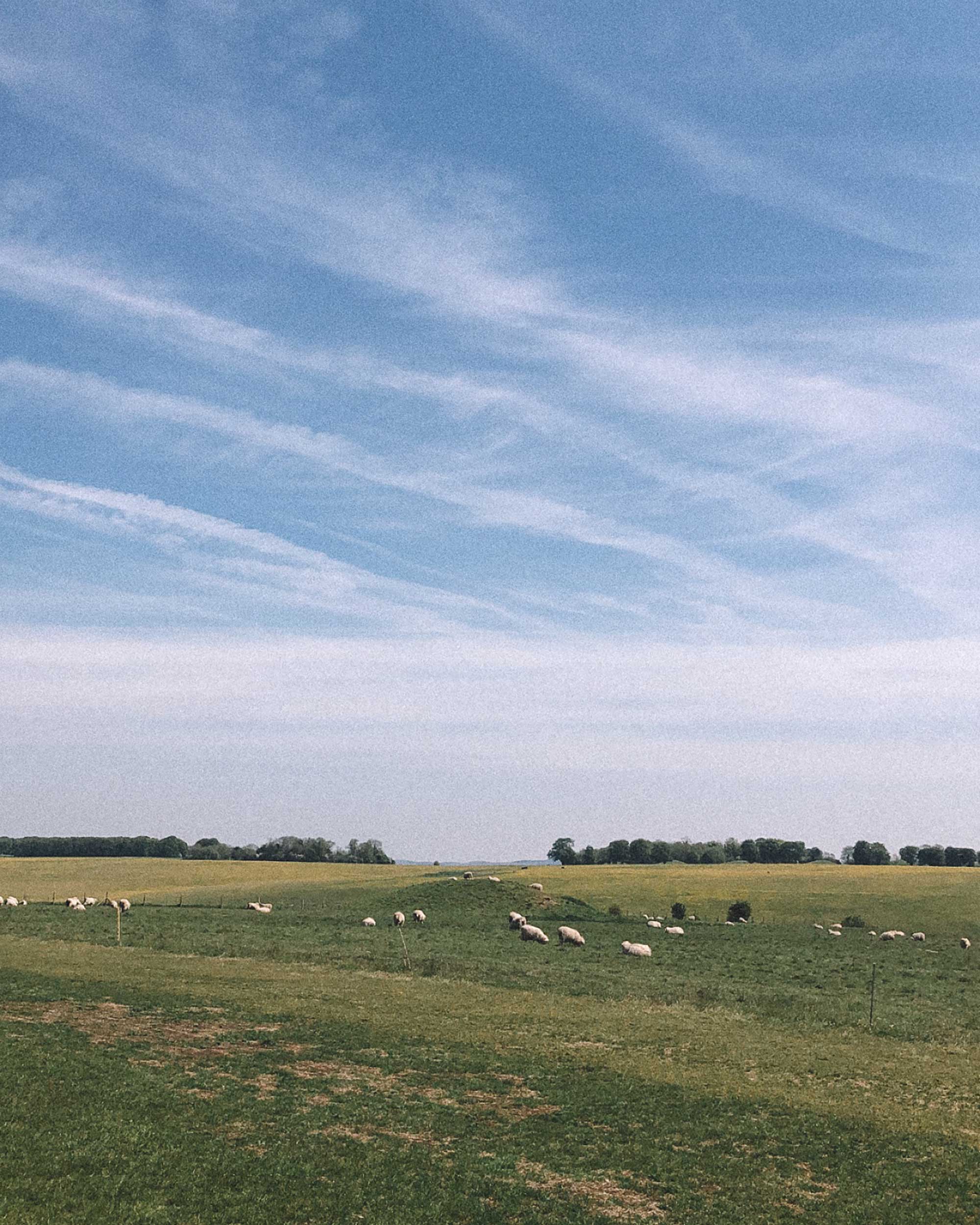 english countryside during spring3.jpg