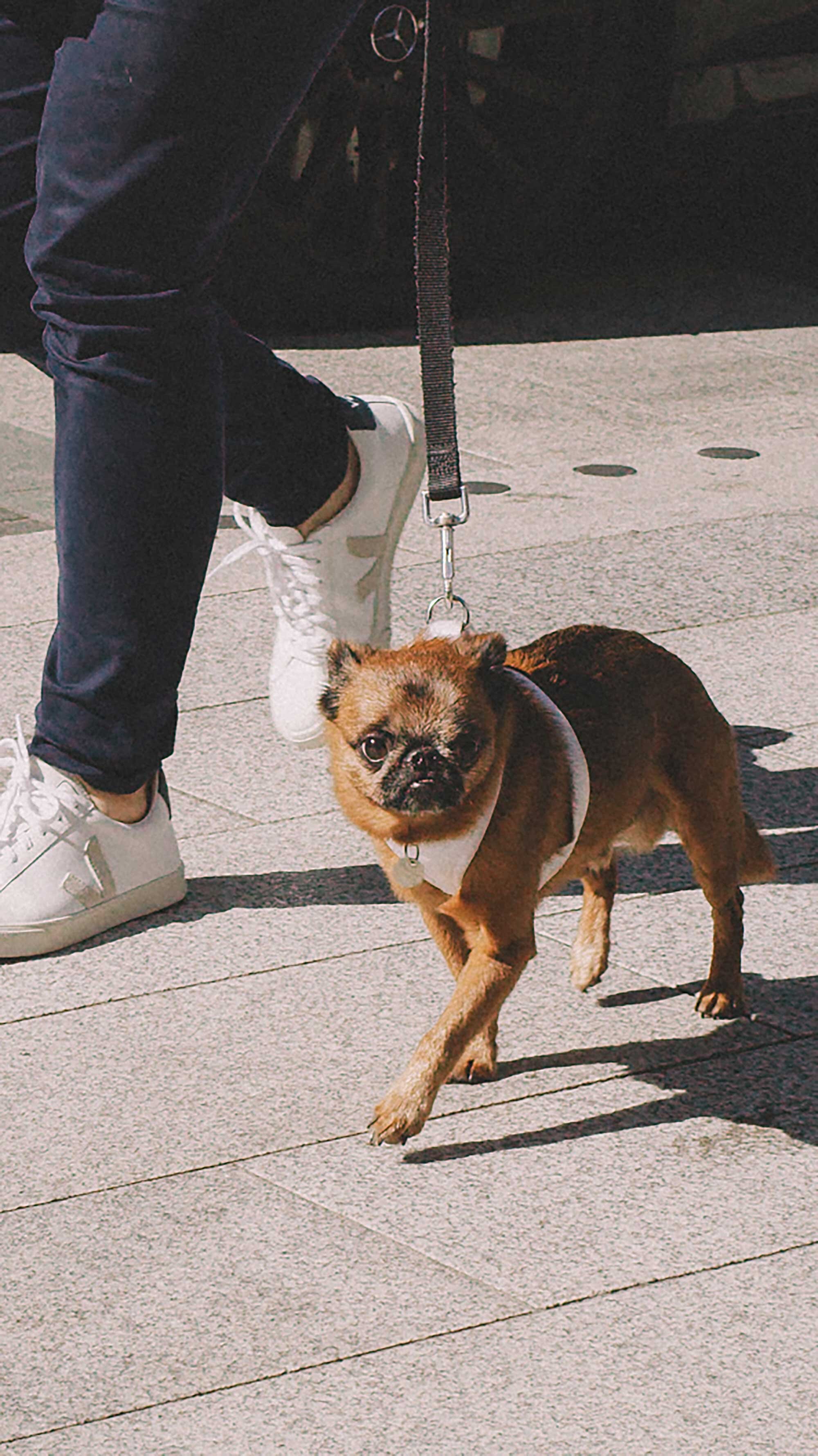 Best outfits of London Fashion Week street style 2019 -43.jpg