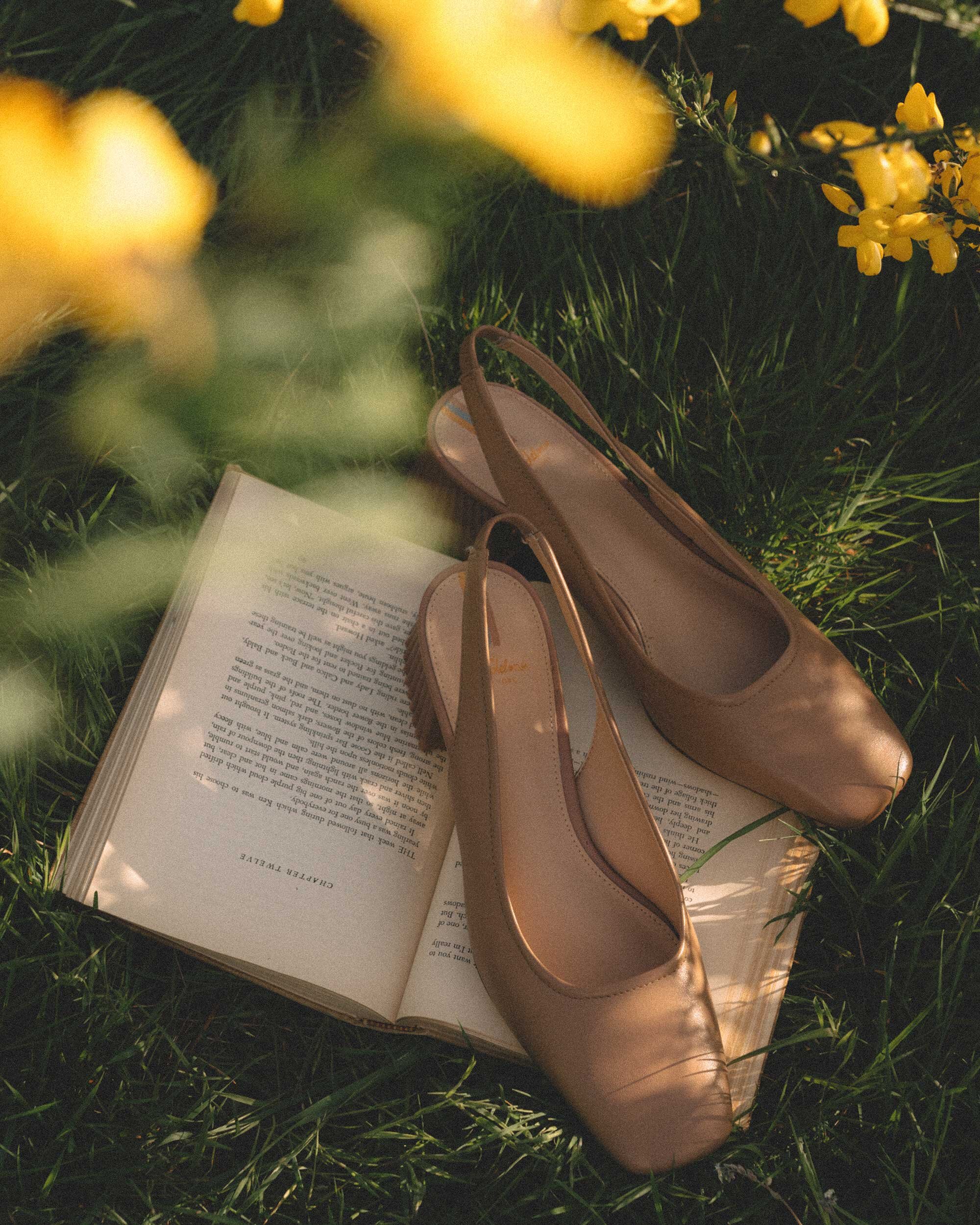 Cute white summer dress. Sarah Butler of @sarahchristine wearing Banana Republic Organic Poplin Smocked Dress with Sam Edelman Toren Square Toe Block Heel in flower field countryside of Seattle, Washington -3.jpg