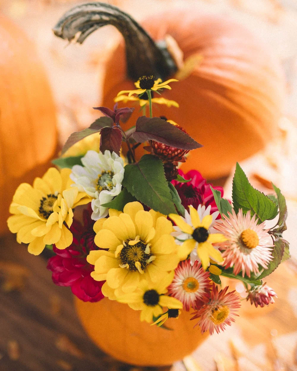 Pumpkin Flower Vase Arrangement-3.jpg