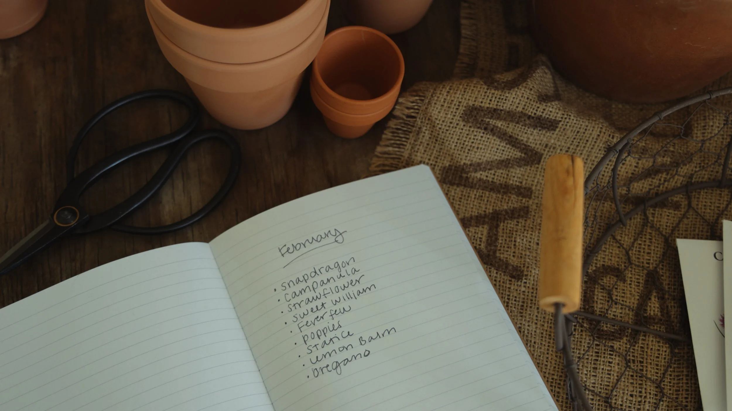 Sequence 01.00_01_08_16.Still006.jpg