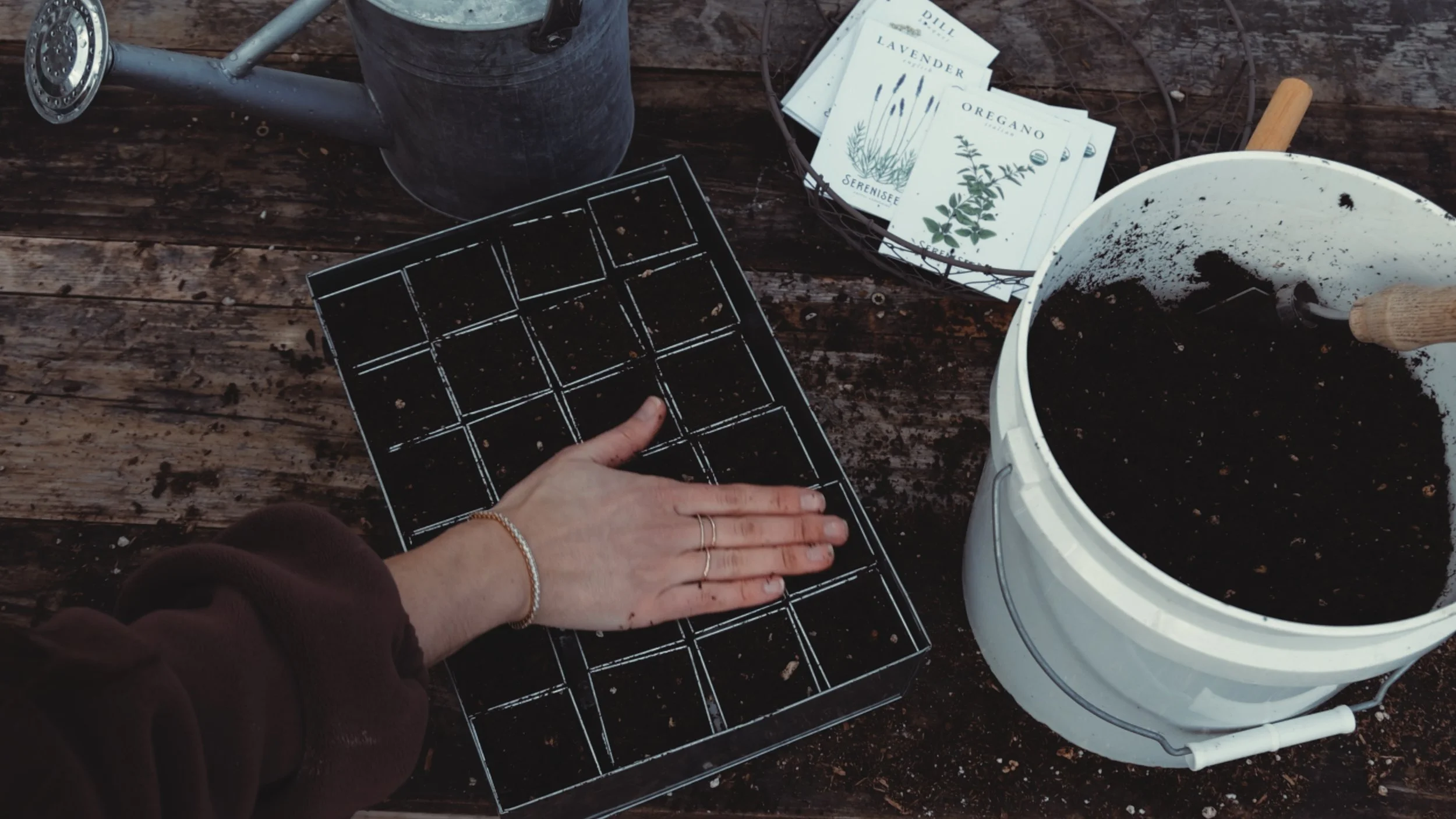 Galvanized seed tray 