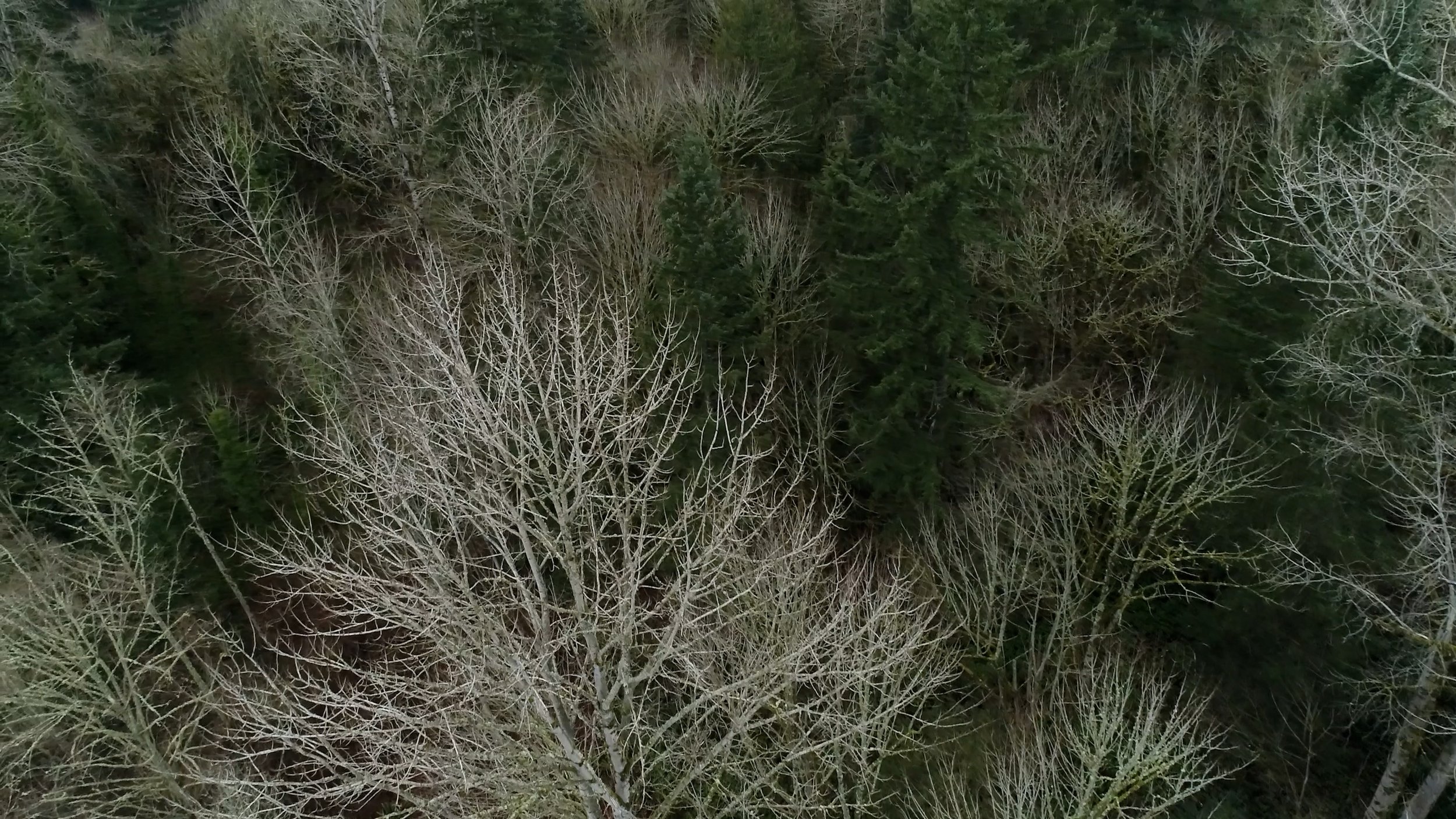 Sequence 01.00_00_00_00.Still003.jpg