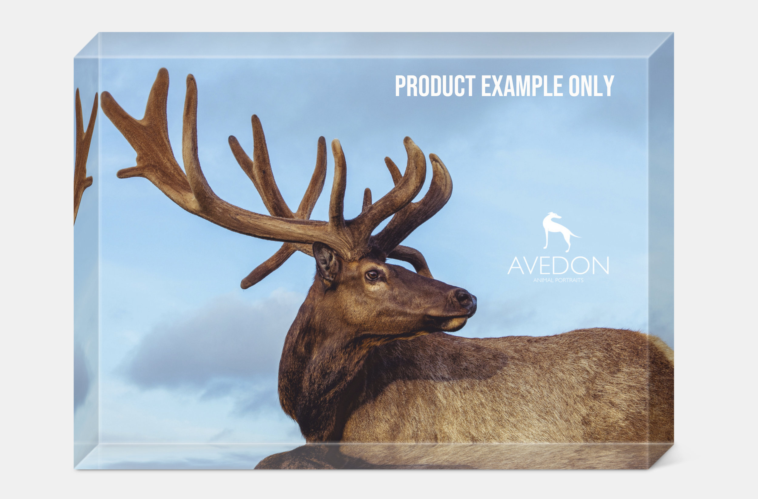 ICE PRINT - 5x7 Looking for the perfect gift? Or just wanting something extra cool for your desk? The Ice print is a see-through photo print on thick ultra clear glass and it’s stunning! BONUS - it also comes with gift packaging! $325 FNF $260