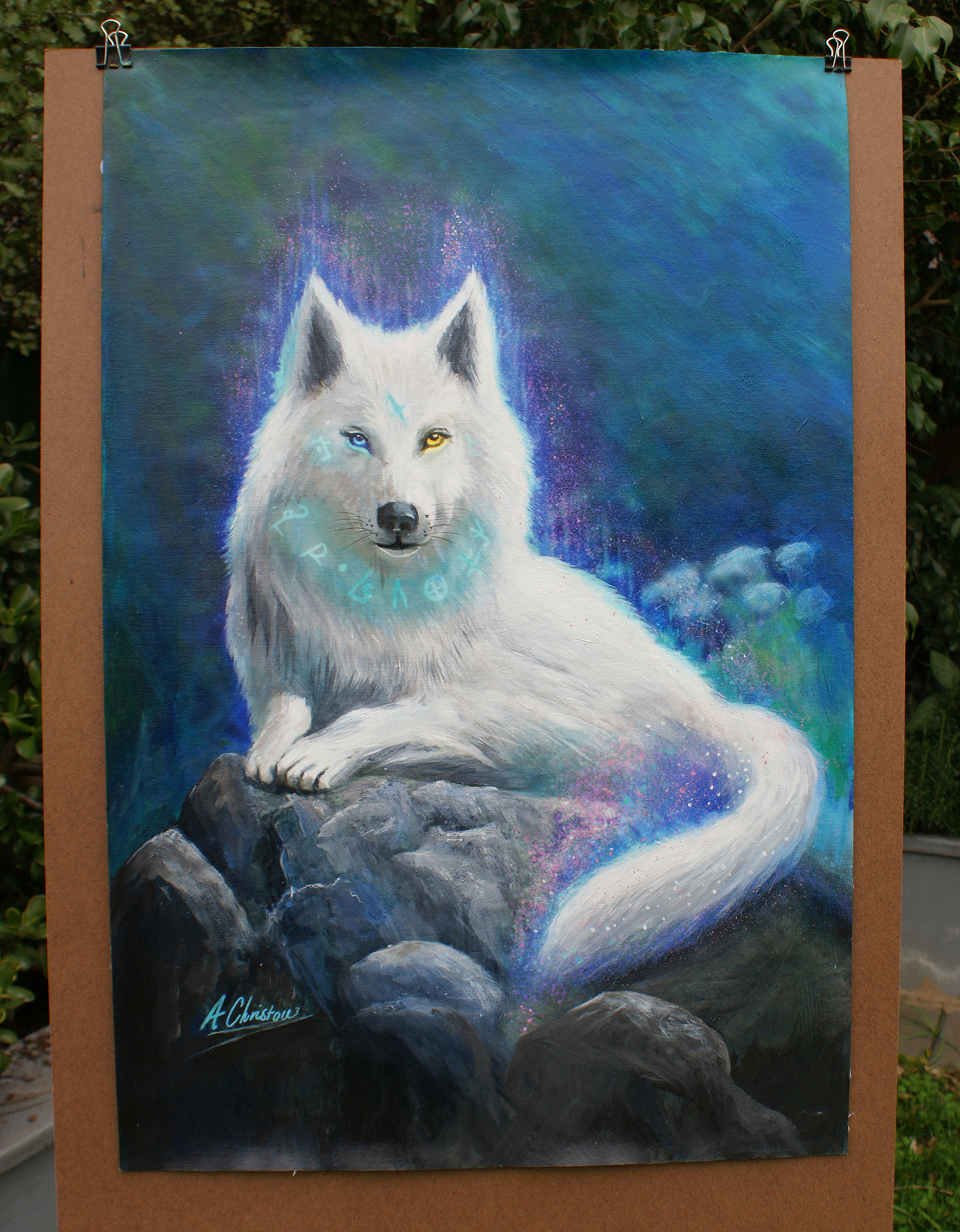 wolf captuveri.jpg