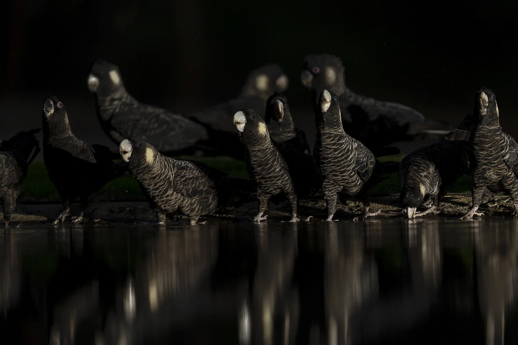 Thirsty Work by Jason Moore