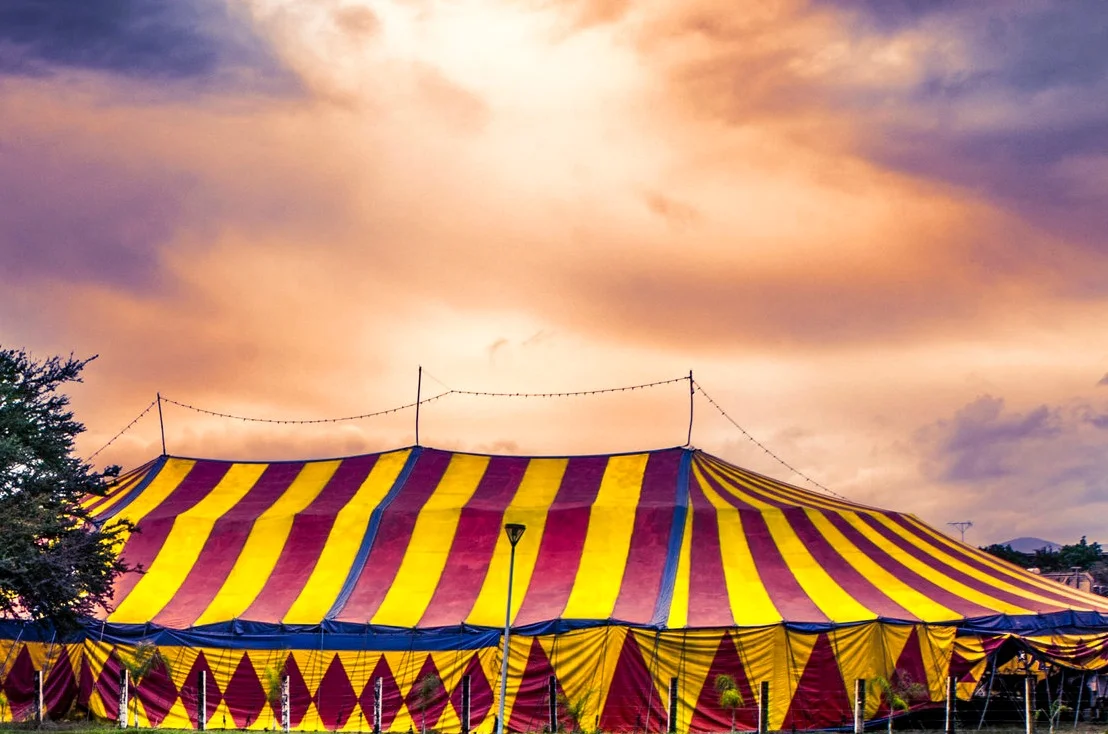 Circus Circus Performance